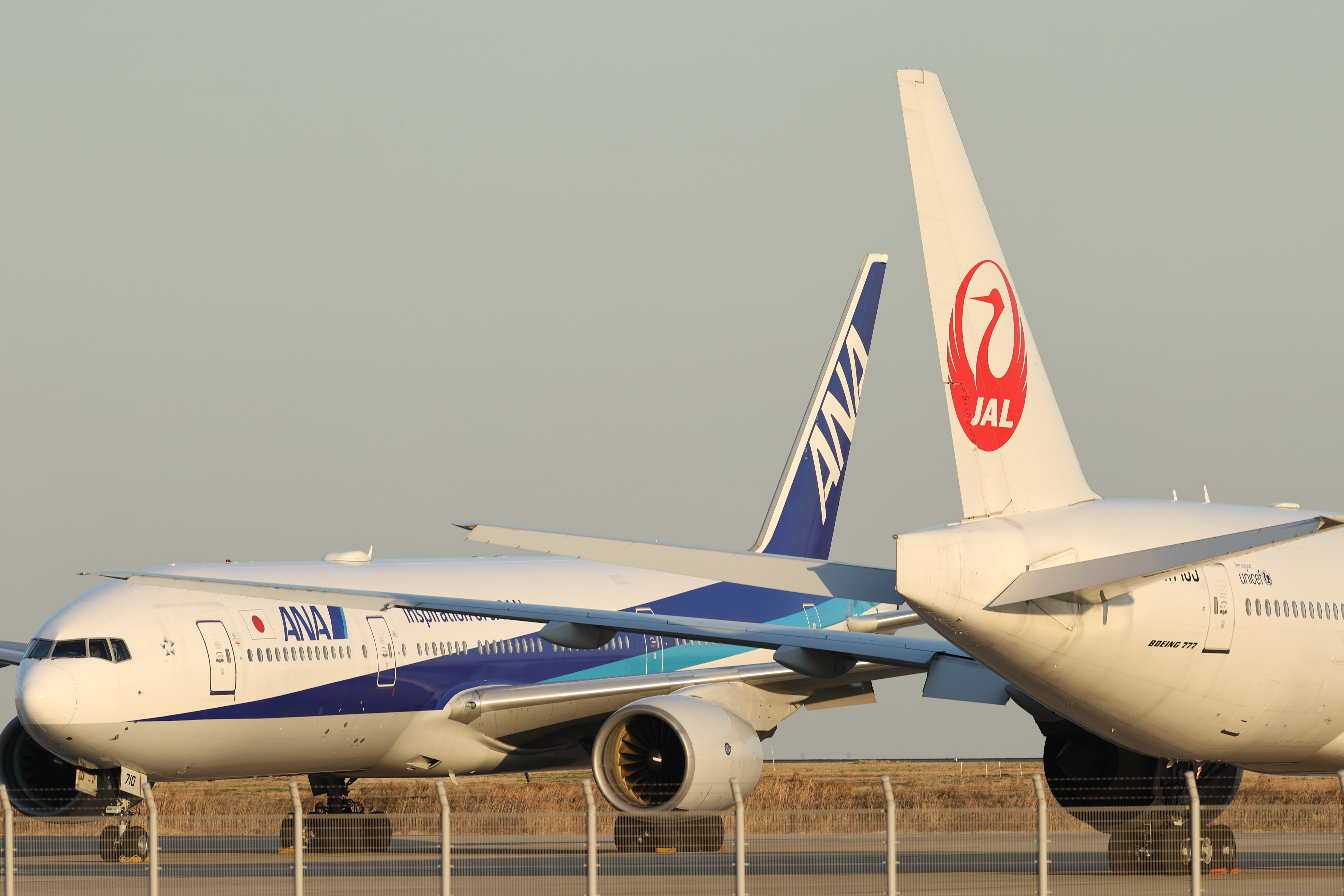 「HDR」をOFFにして、「高輝度側・階調優先」もOFFのJPEG画像<br><span class="fnt-85">EOS-1D X Mark II＋EF400mm F2.8L IS III USM / マニュアル露出（F8.0・1/400秒） / ISO 200</span>