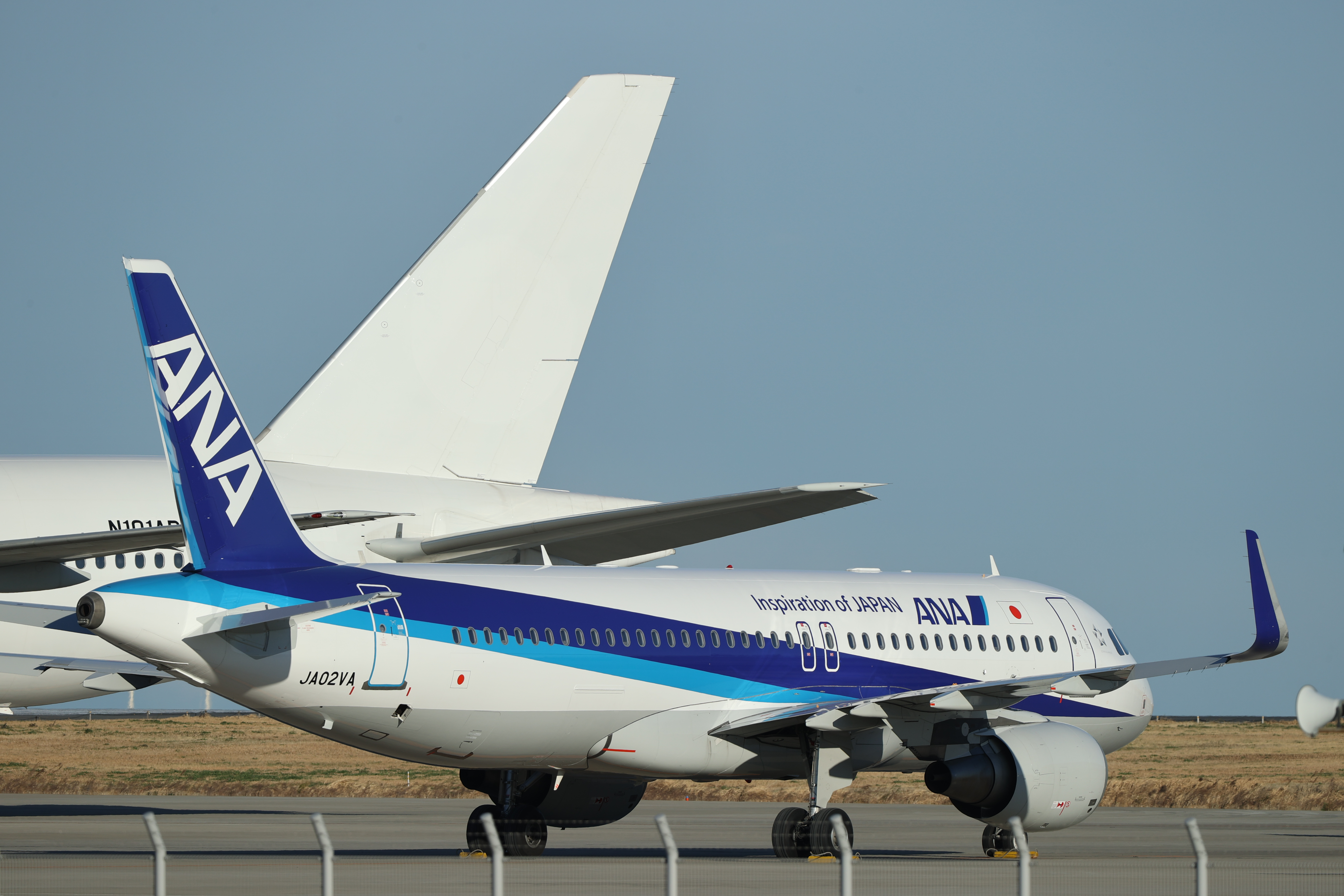 明瞭度±0<br><span class="fnt-85">EOS-1D X Mark II＋EF200-400mm F4L IS USM エクステンダー 1.4×（560mm） / シャッター優先AE（1/500秒・F8.0・±0EV） / ISO 100</span>