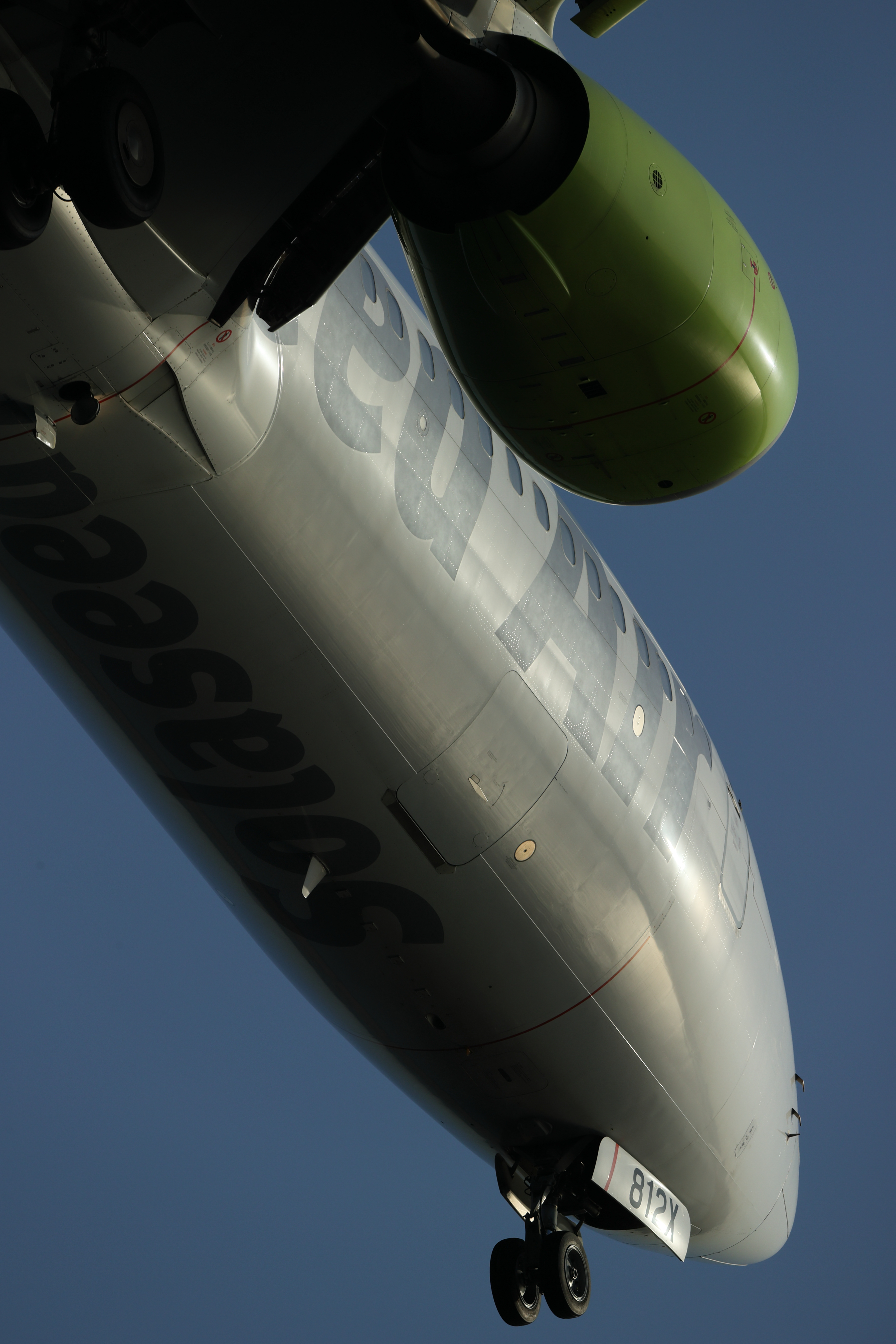 <span class="fnt-85">EOS-1D X Mark III＋EF200-400mm F4L IS USM エクステンダー 1.4×（540mm） / シャッター優先AE（1/1,600秒・F8.0・-1.3EV） / ISO 200</span>