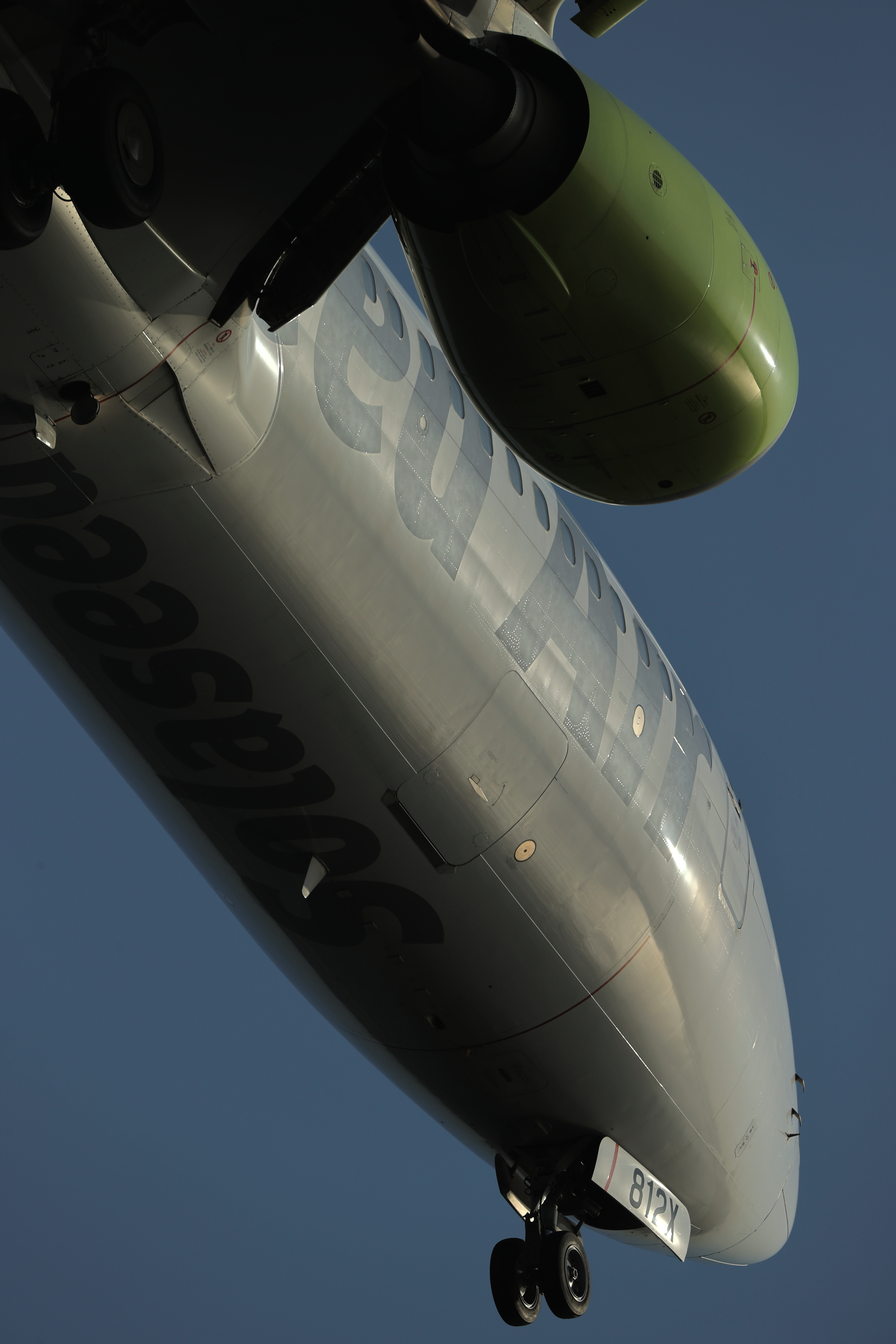 上の画像をHDRライク処理したもの<br><span class="fnt-85">EOS-1D X Mark III＋EF200-400mm F4L IS USM エクステンダー 1.4×（540mm） / シャッター優先AE（1/1,600秒・F8.0・-1.3EV） / ISO 200</span>