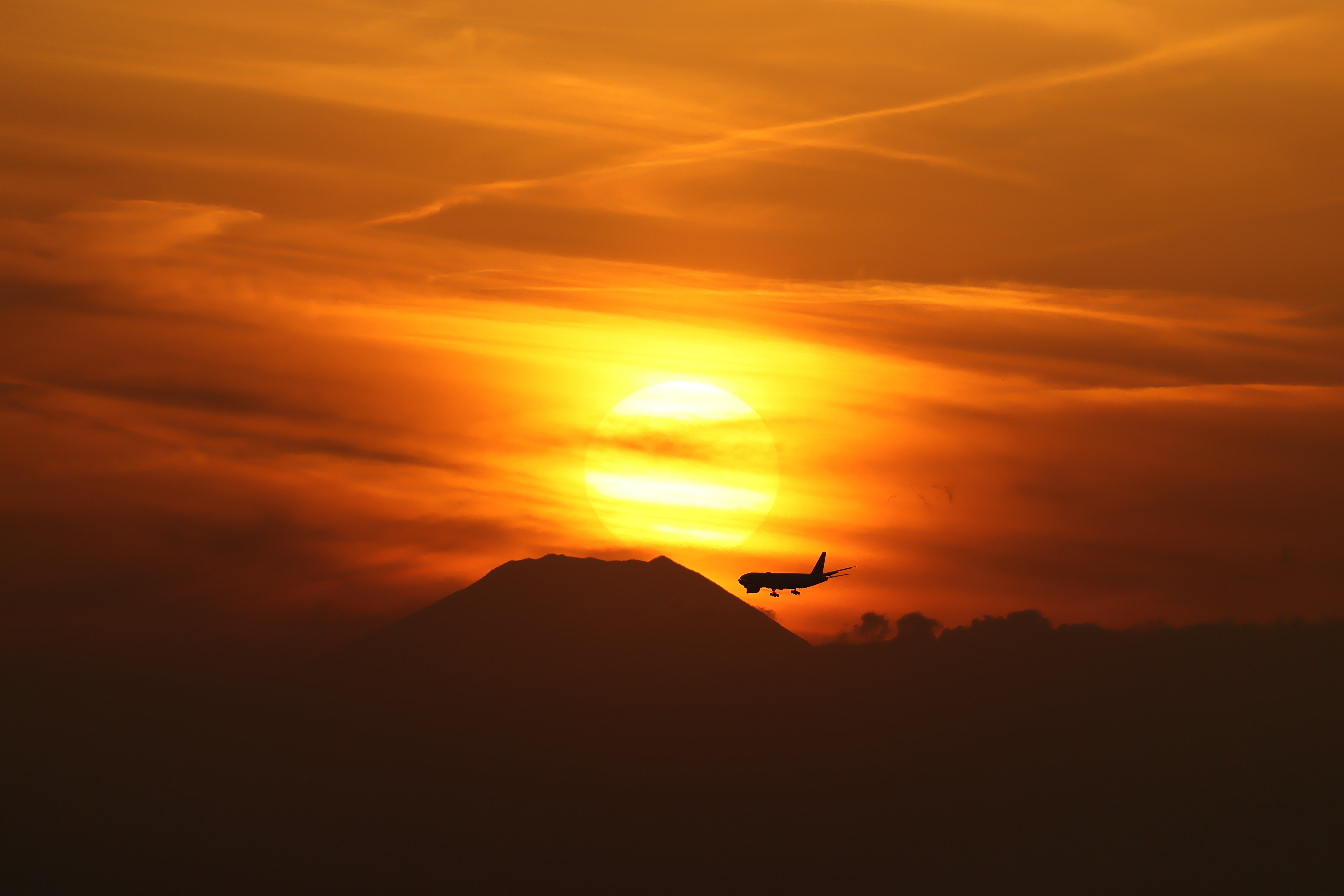 <span class="fnt-85">EOS-1D X Mark III＋EF200-400mm F4L IS USM エクステンダー 1.4×（560mm） / シャッター優先AE（1/2,500秒・F5.6・+1.7EV） / ISO 200</span>