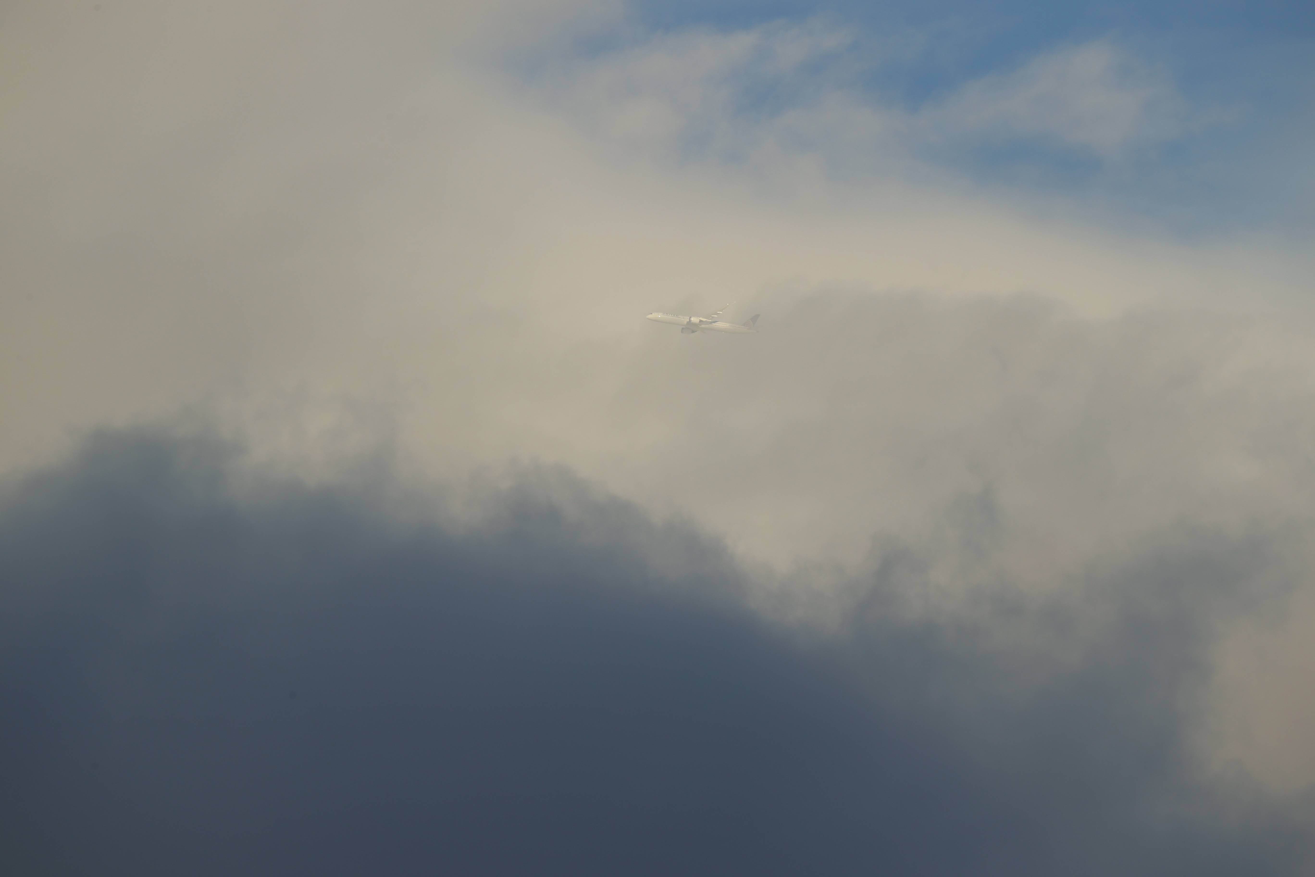 <span class="fnt-85">EOS-1D X Mark III＋EF200-400mm F4L IS USM エクステンダー 1.4×（560mm） / シャッター優先AE（1/320秒・F9.0・±0EV） / ISO 200</span>