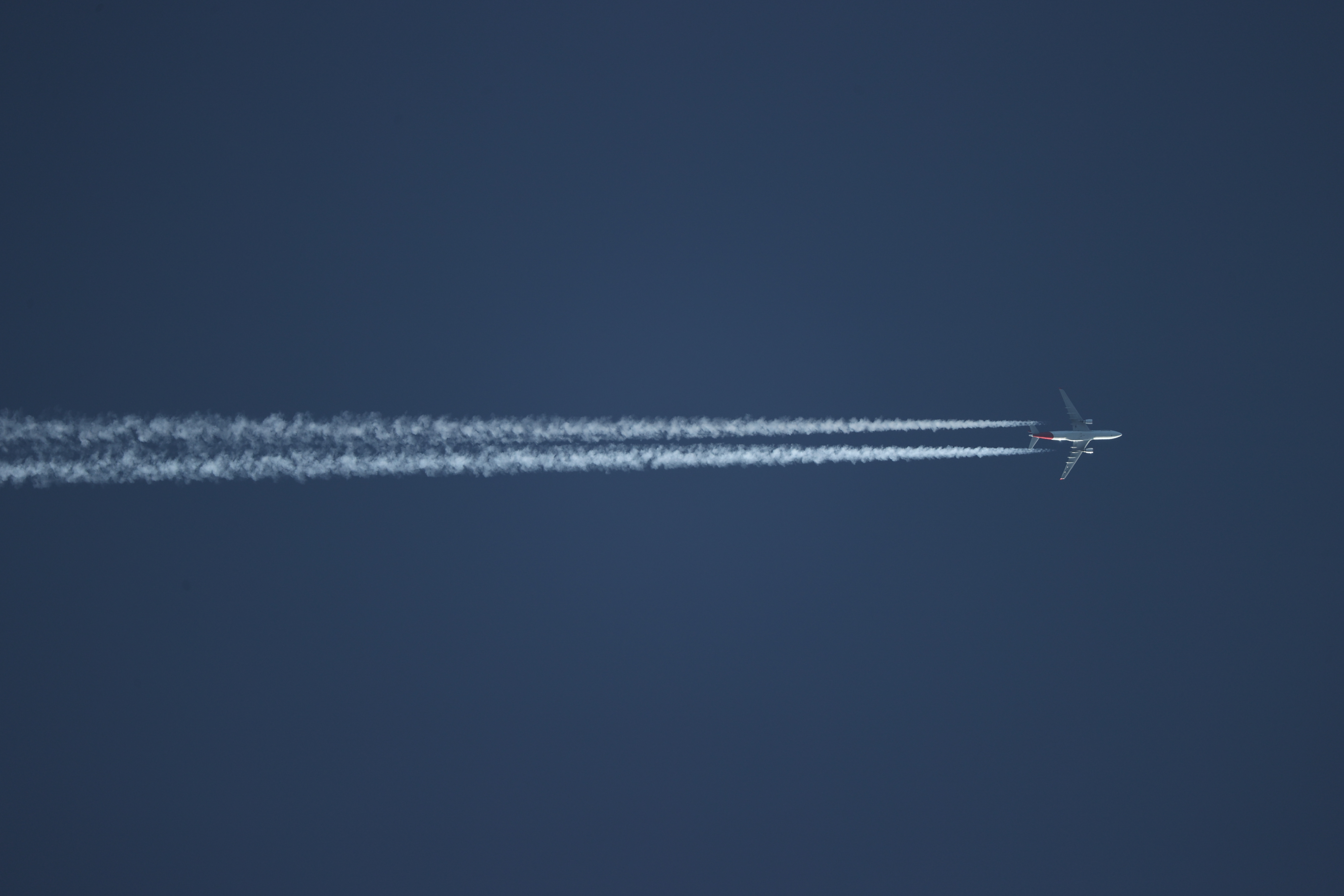 <span class="fnt-85">EOS-1D X Mark III＋EF200-400mm F4L IS USM エクステンダー 1.4×（560mm） / シャッター優先AE（1/500秒・F5.6・±0EV） / ISO 100</span>