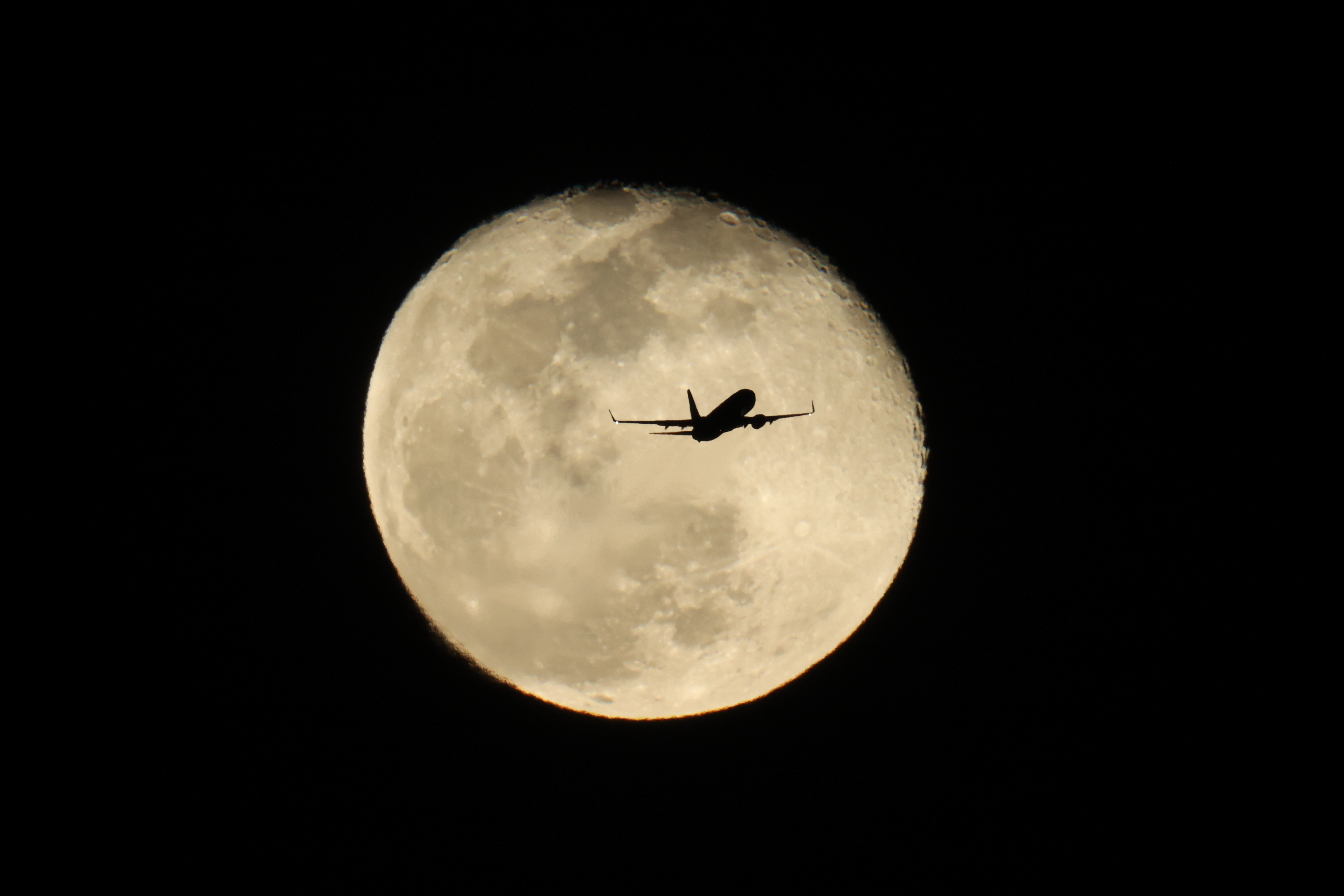 <span class="fnt-85">EOS-1D X Mark III＋EF800mm F5.6L IS USM＋EXTENDER EF2×III（1,600mm相当） / マニュアル露出（F11・1/320秒） / ISO 4000</span>