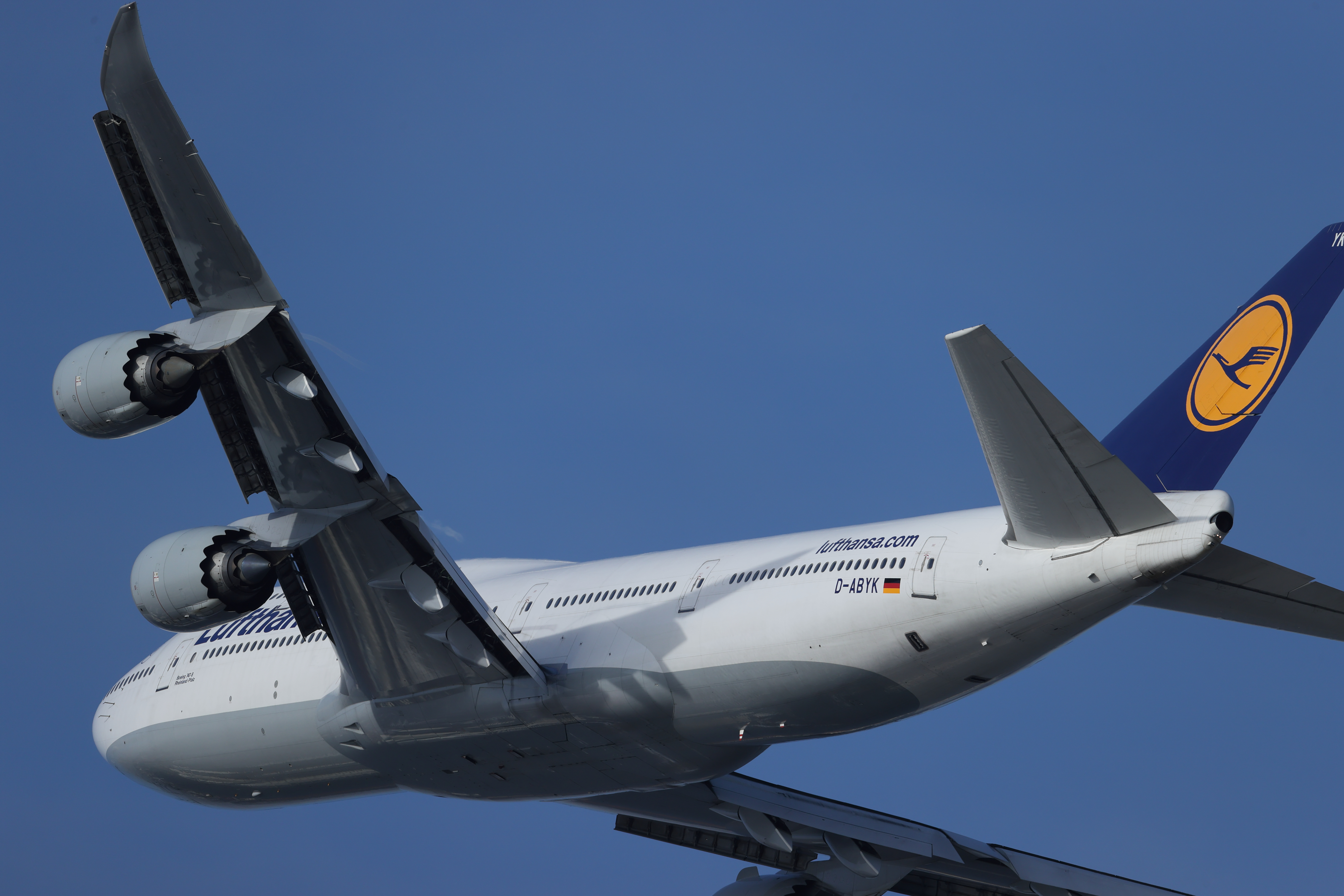 <span class="fnt-85">EOS-1D X Mark III＋EF800mm F5.6L IS USM / シャッター優先AE（1/1,600秒・F7.1・-1.0EV） / ISO 200</span>