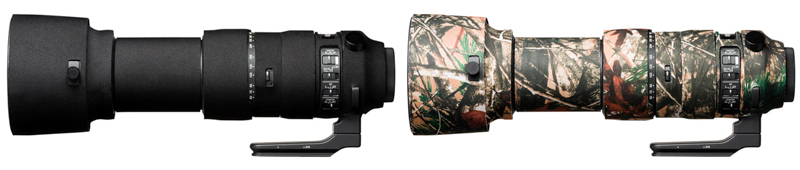 SIGMA 60-600mm F4.5-6.3 DG OS HSM｜Sports