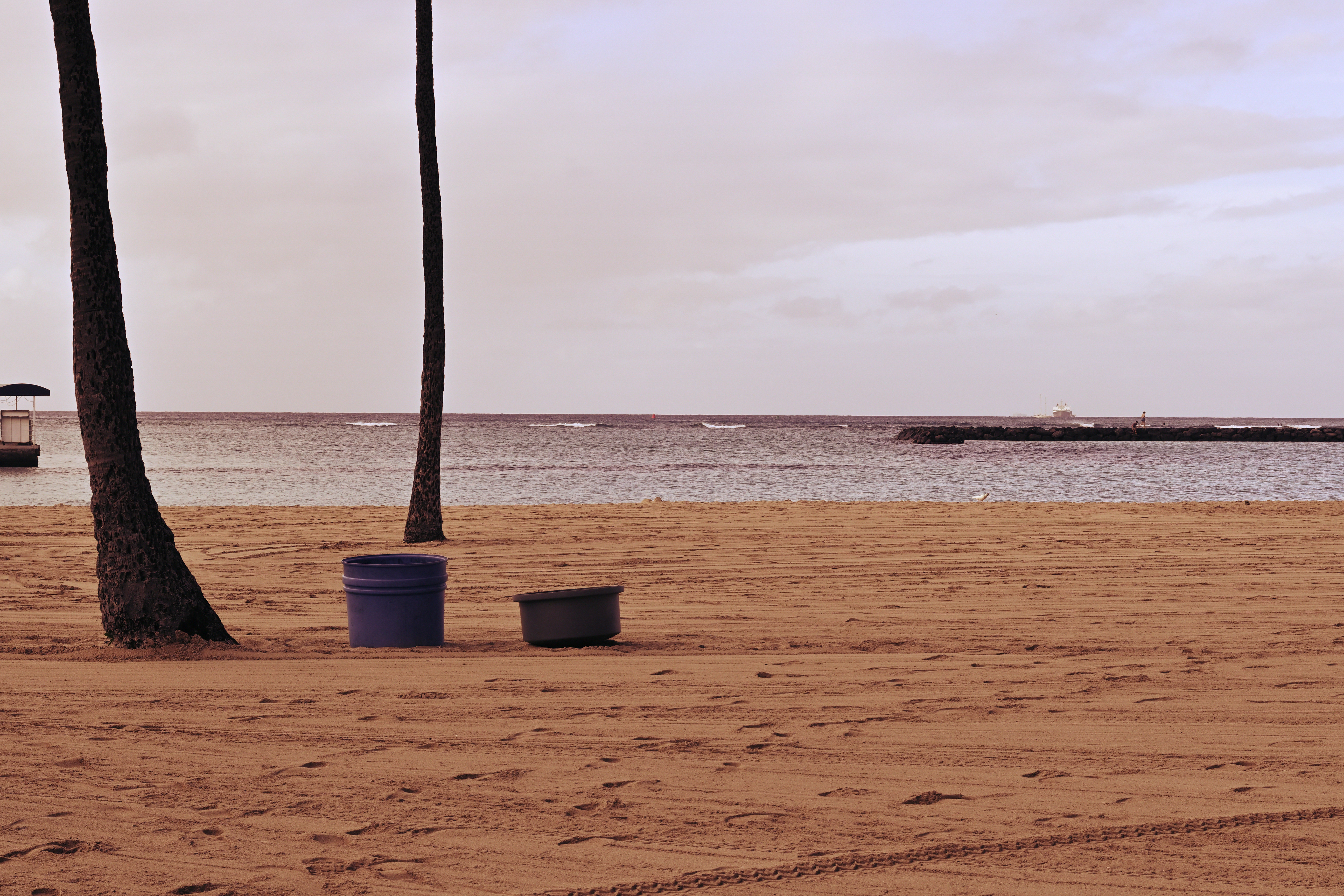 「レッド」を濃度50で適用（撮影データはノーマルと同）