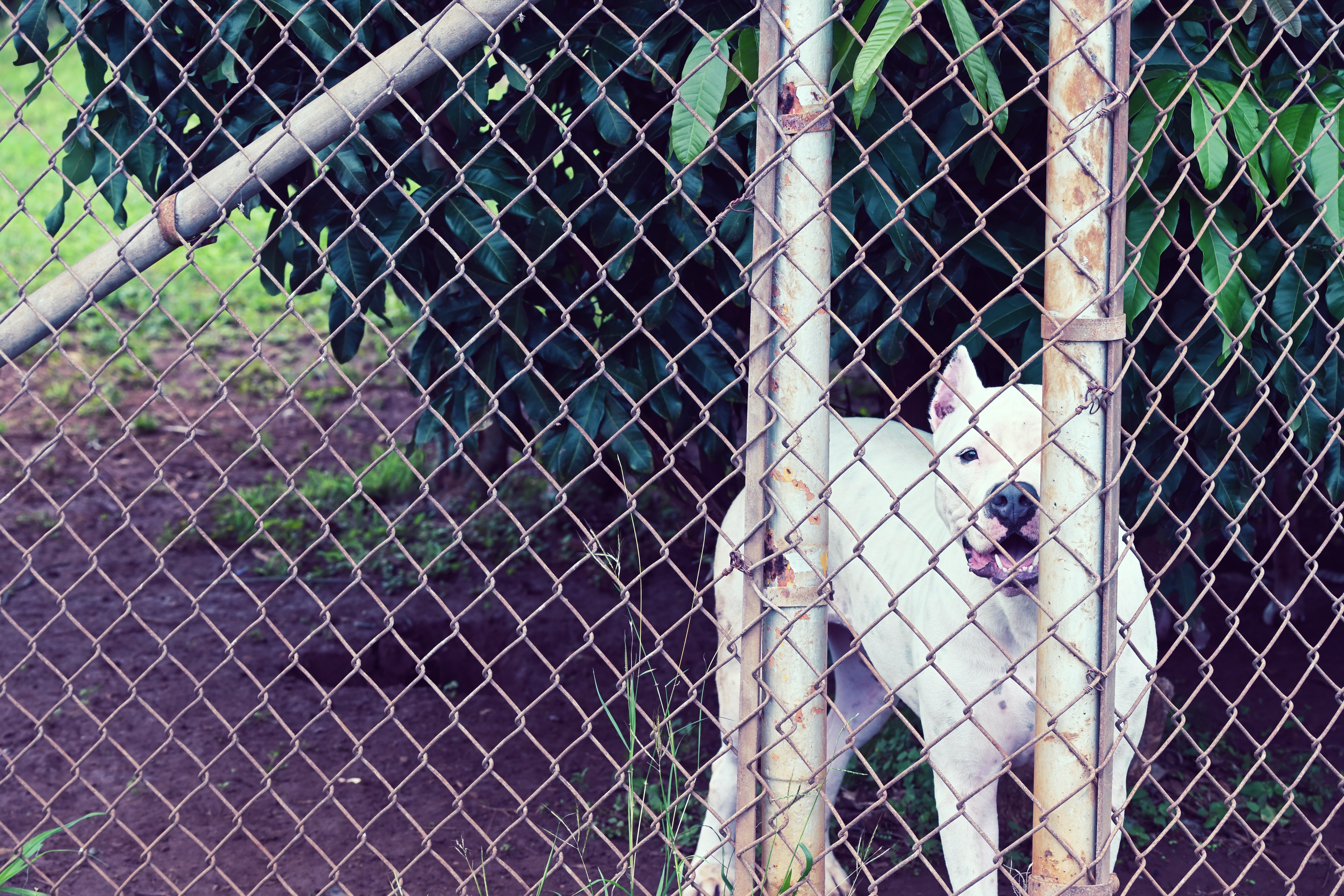 デニムを適用（撮影データはノーマルと同）