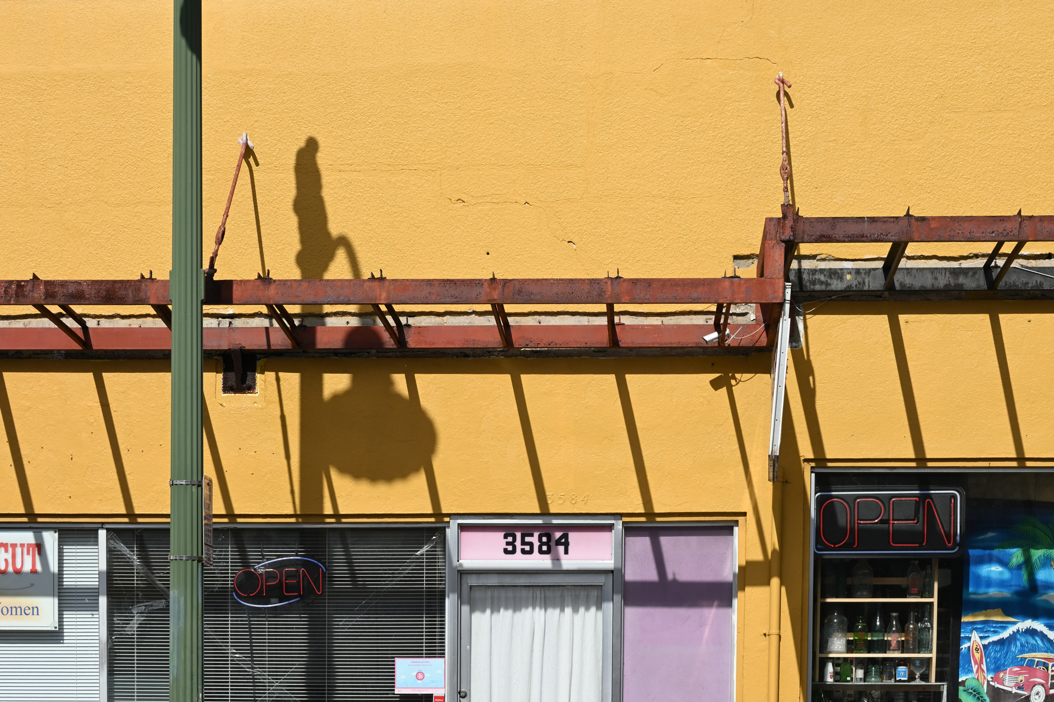 ノーマル<br><span class="fnt-85">ニコンZ 50＋NIKKOR Z DX 50-250mm f/4.5-6.3 VR（72mm：108mm相当） / マニュアル露出（F13・1/800秒） / ISO 320 / WBオート</span>