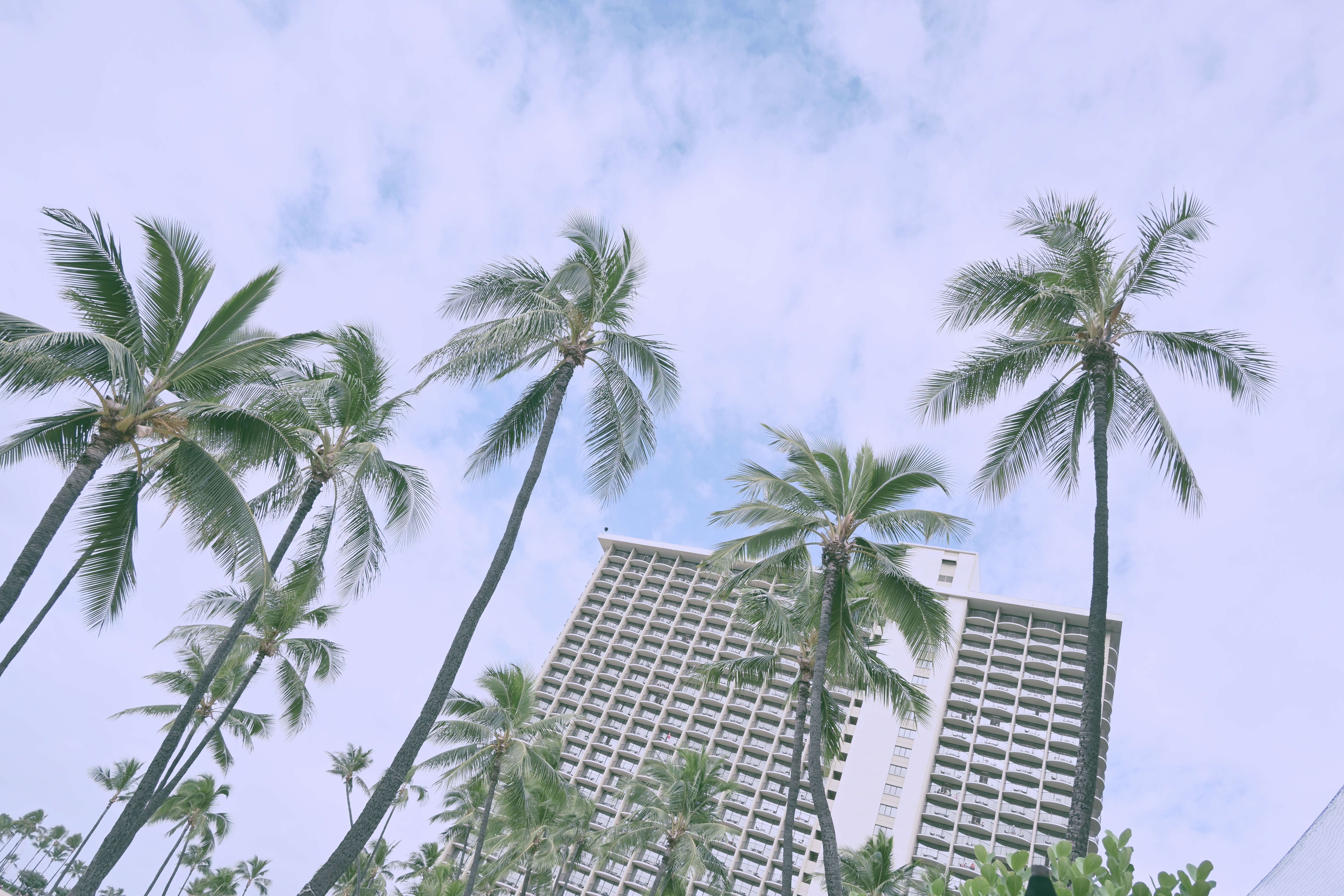 ピュアを適用（撮影データはノーマルと同）