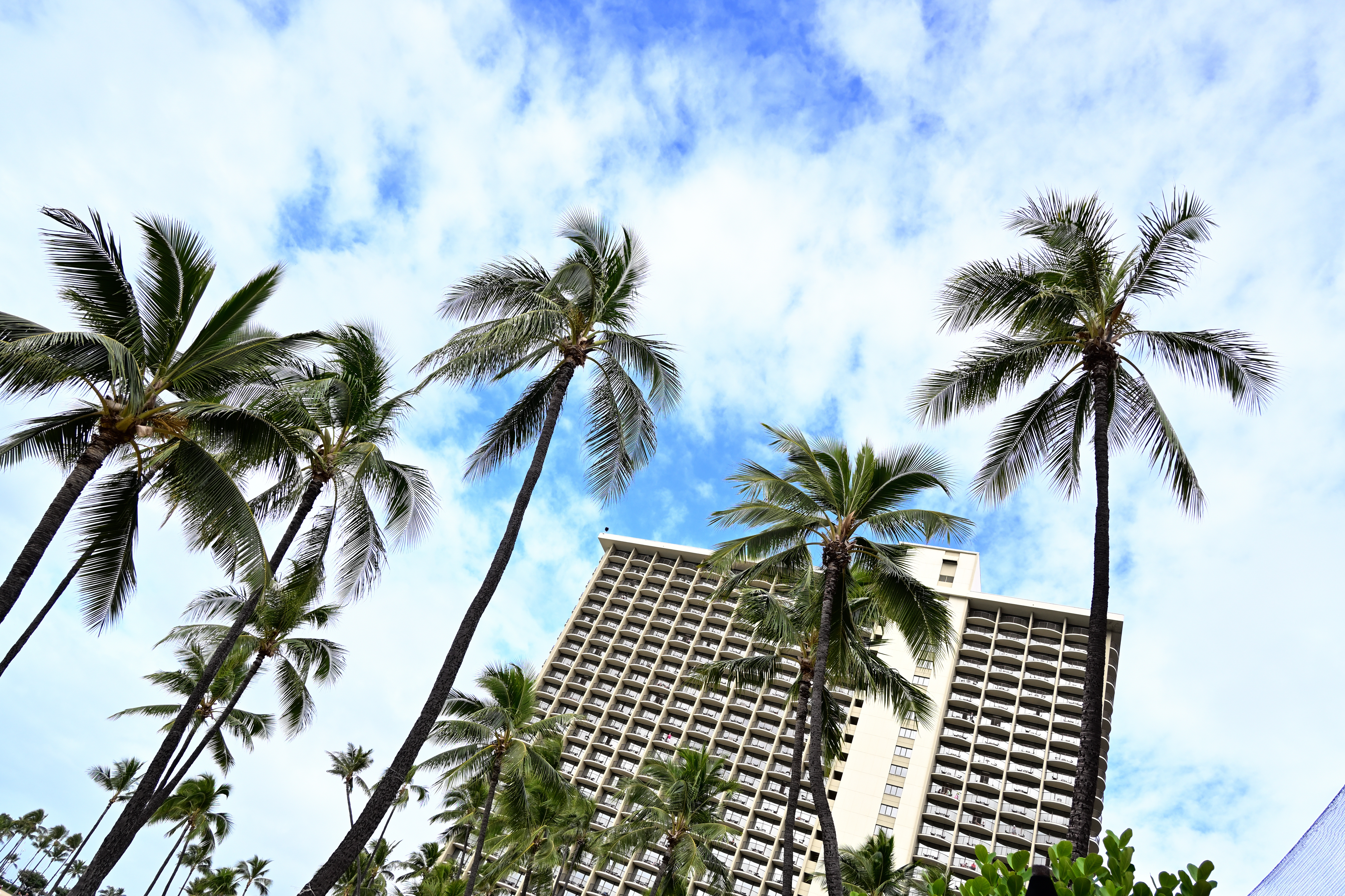 ノーマル<br><span class="fnt-85">ニコンZ 50＋NIKKOR Z DX 16-50mm f/3.5-6.3 VR（16mm：24mm相当） / マニュアル露出（F4.5・1/500秒・+2.3EV） / ISO 125 / WBオート</span>