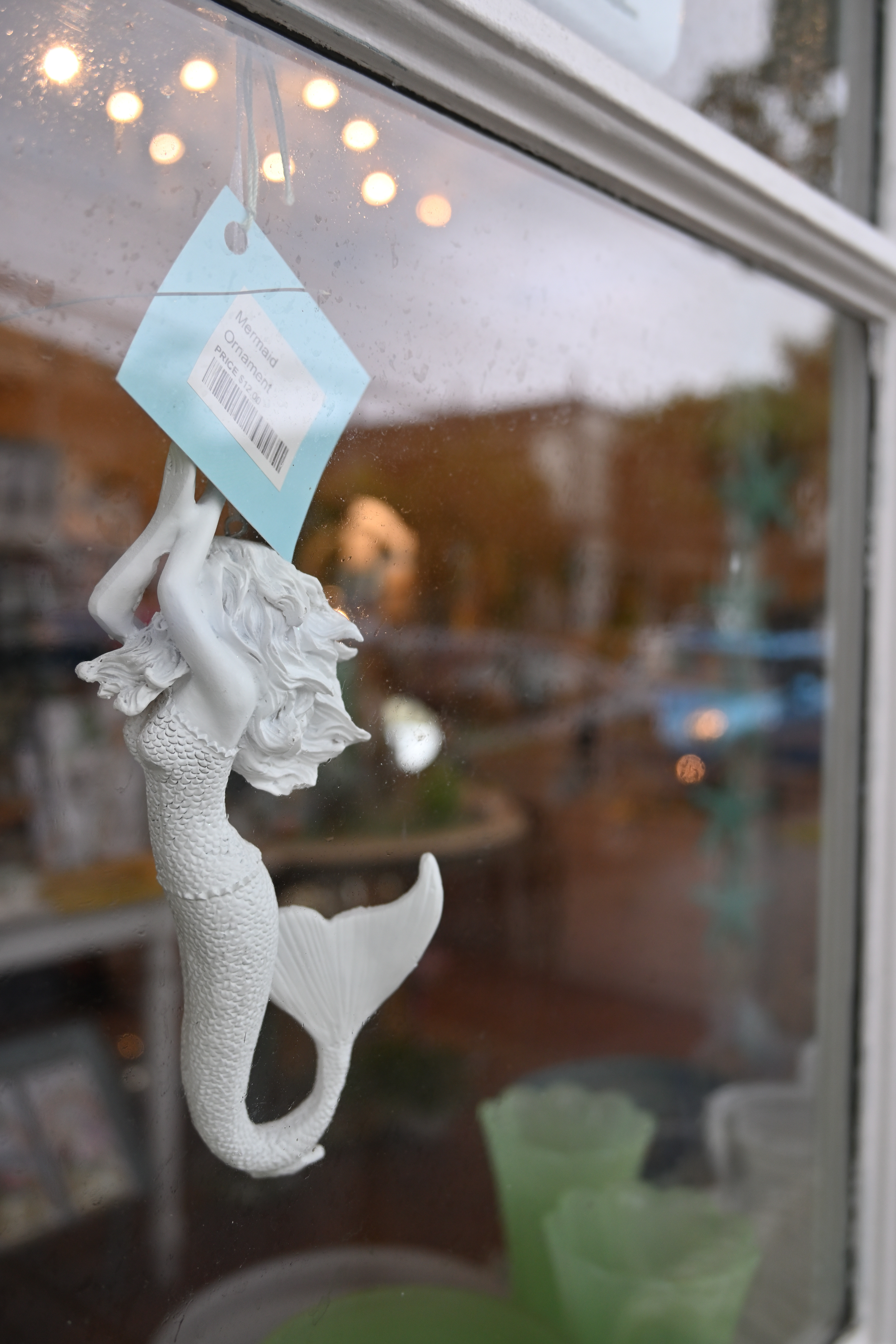 オート<br><span class="fnt-85">ニコンZ 50＋NIKKOR Z DX 16-50mm f/3.5-6.3 VR（47mm：70mm相当） / マニュアル露出（F4・1/100秒・+0.3EV） / ISO 200 / WBオート</span>