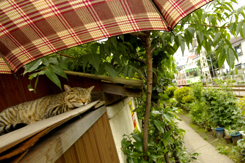 ペンタックス*ist D　24mm相当　絞り優先オート（F8、1/60秒）　ISO 200　WB:マニュアル