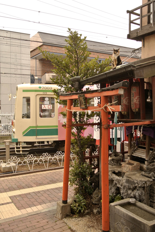 Nikon 1 J1　1 NIKKOR VR 10-30mm f/3.5-5.6（35mm相当）　絞り優先オート（F4、1/200秒）　ISO 100　WB:日陰