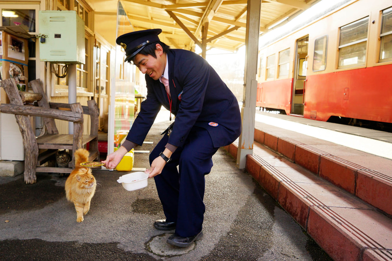 ソニーα7　FE 24-70mm F4 ZA OSS（24mm）　絞り優先オート（F4、1/500秒）　ISO 400　WB:日陰