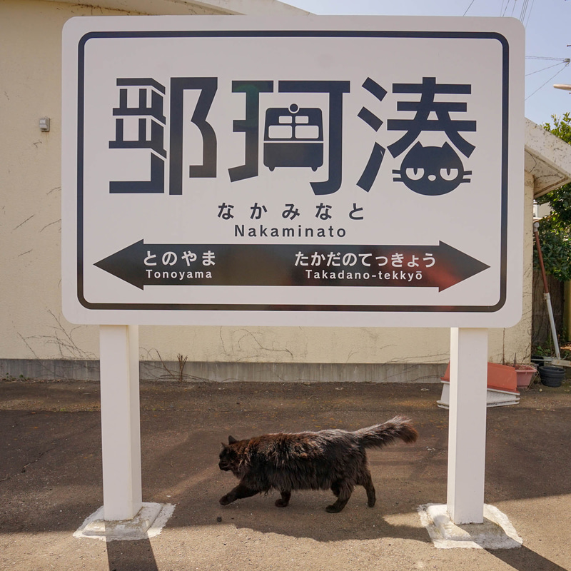 ソニーα7 II　FE 16-35mm F4 ZA OSS（16mm）　絞り優先オート（F5.6、1/1,250秒）　ISO 320　WB:日陰