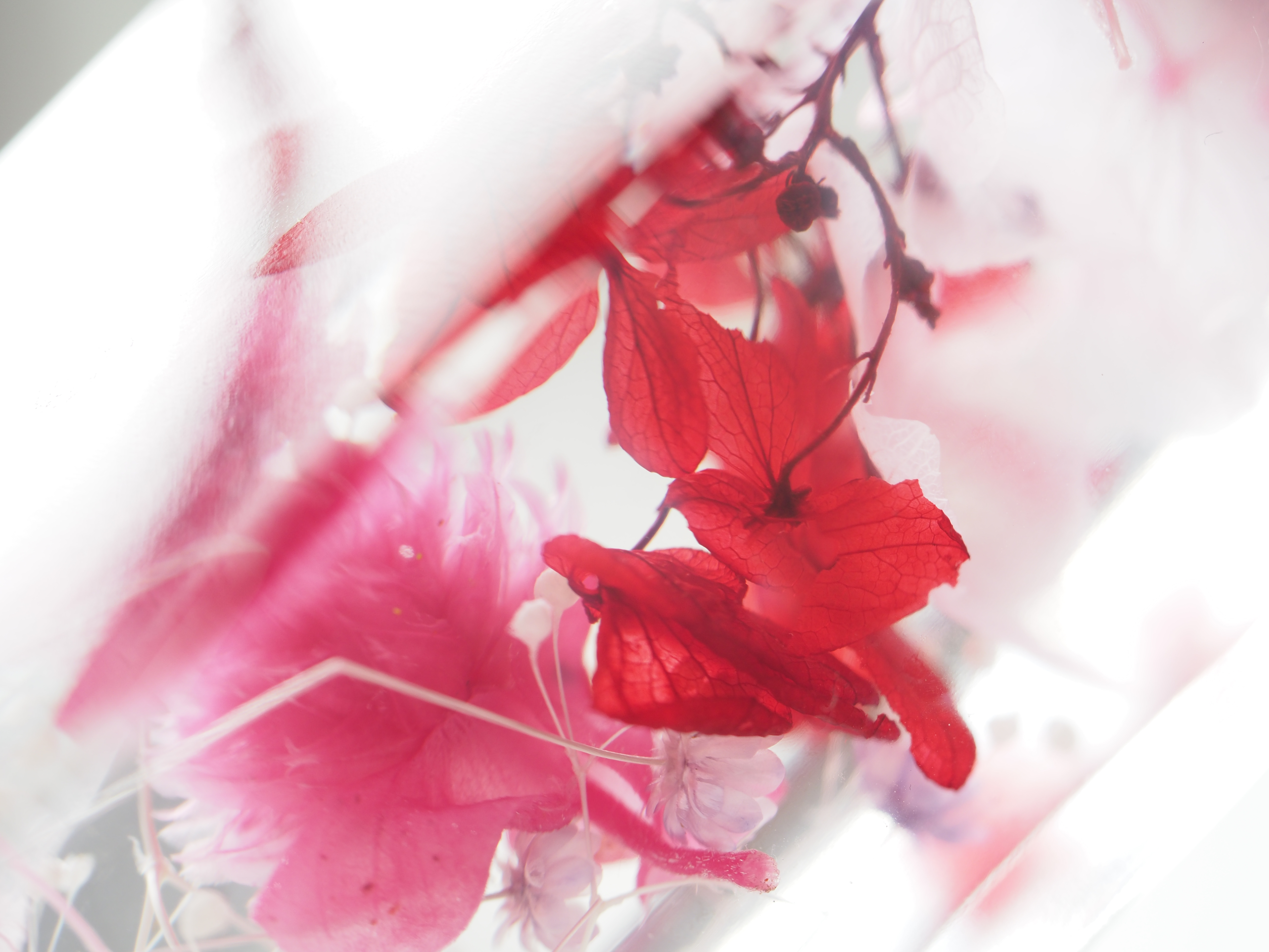 LEDライトなしのカット<br><span class="fnt-85">OLYMPUS OM-D E-M1 Mark II＋M.ZUIKO DIGITAL ED 60mm F2.8 Macro（120mm相当） / 絞り優先AE（F2.8・1/25秒・+1.3EV） / ISO 200</span>