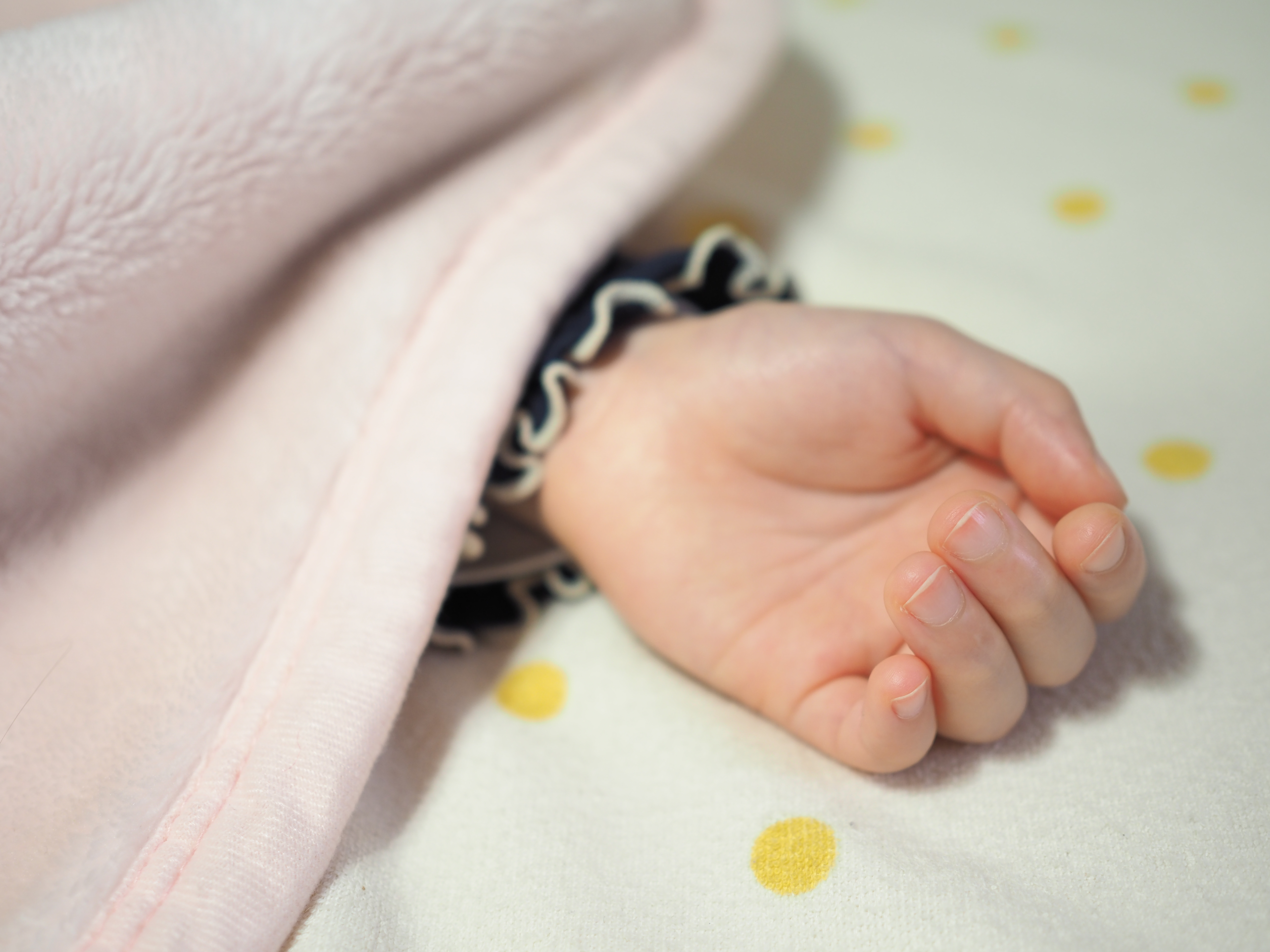 正面から1灯<br><span class="fnt-85">OLYMPUS OM-D E-M1 Mark II＋M.ZUIKO DIGITAL 25mm F1.8（50mm相当） / 絞り優先AE（F1.8・1/80秒・+1.0EV） / ISO 200</span>