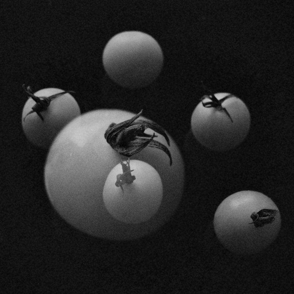 RICOH GR III / プログラムAE（F2.8・1/30秒・-0.7EV） / ISO 2000 / WB：昼白色蛍光灯 / イメージコントロール：BW（コントラスト+2、シャープネス+1、明瞭度+1） / 50mmクロップ