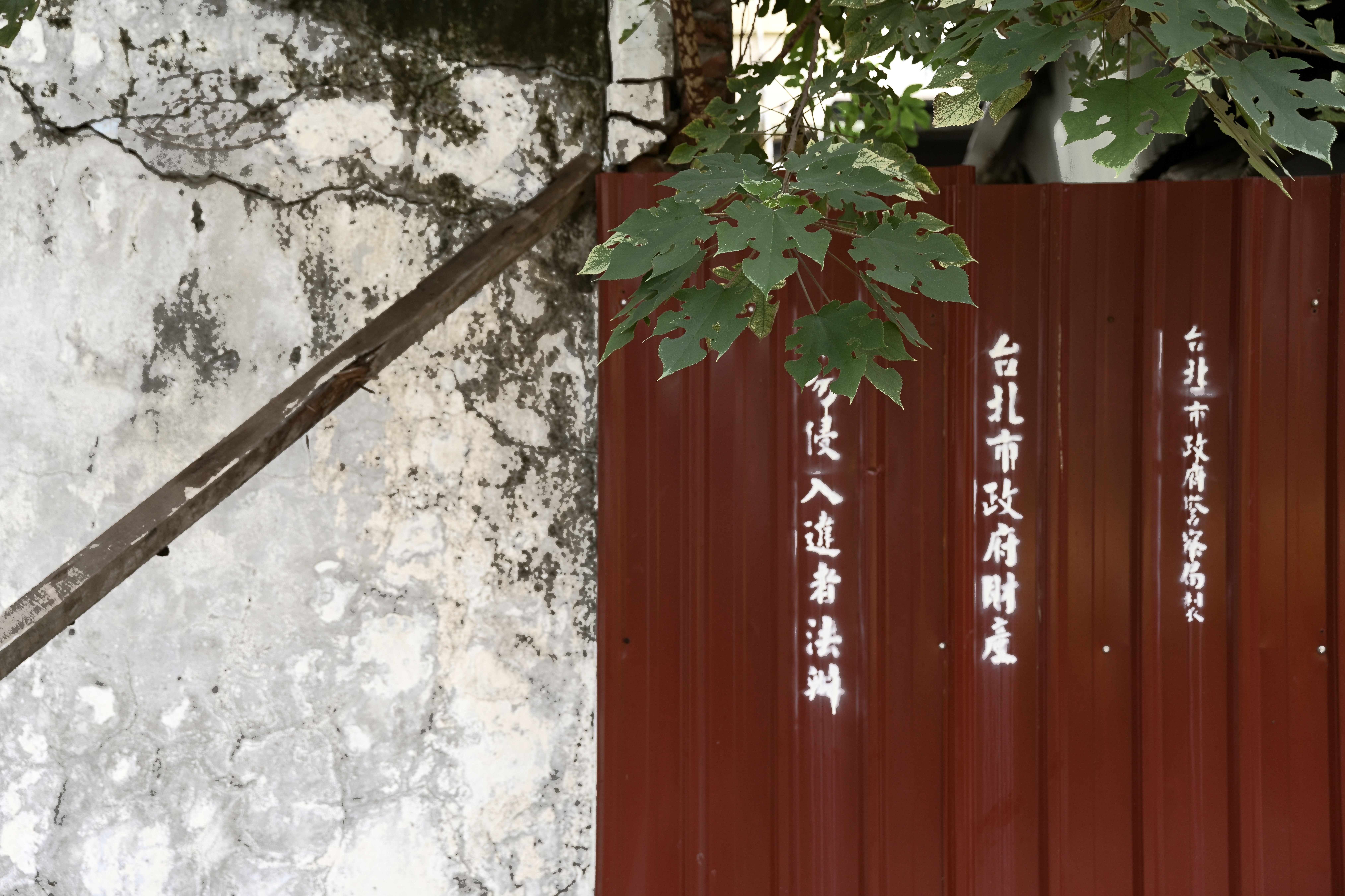 バイナリー濃度20<br>ニコンZ 7＋NIKKOR Z 24-70mm f/2.8 S（53mm） / マニュアル露出（F4.0・1/160秒） / ISO 400