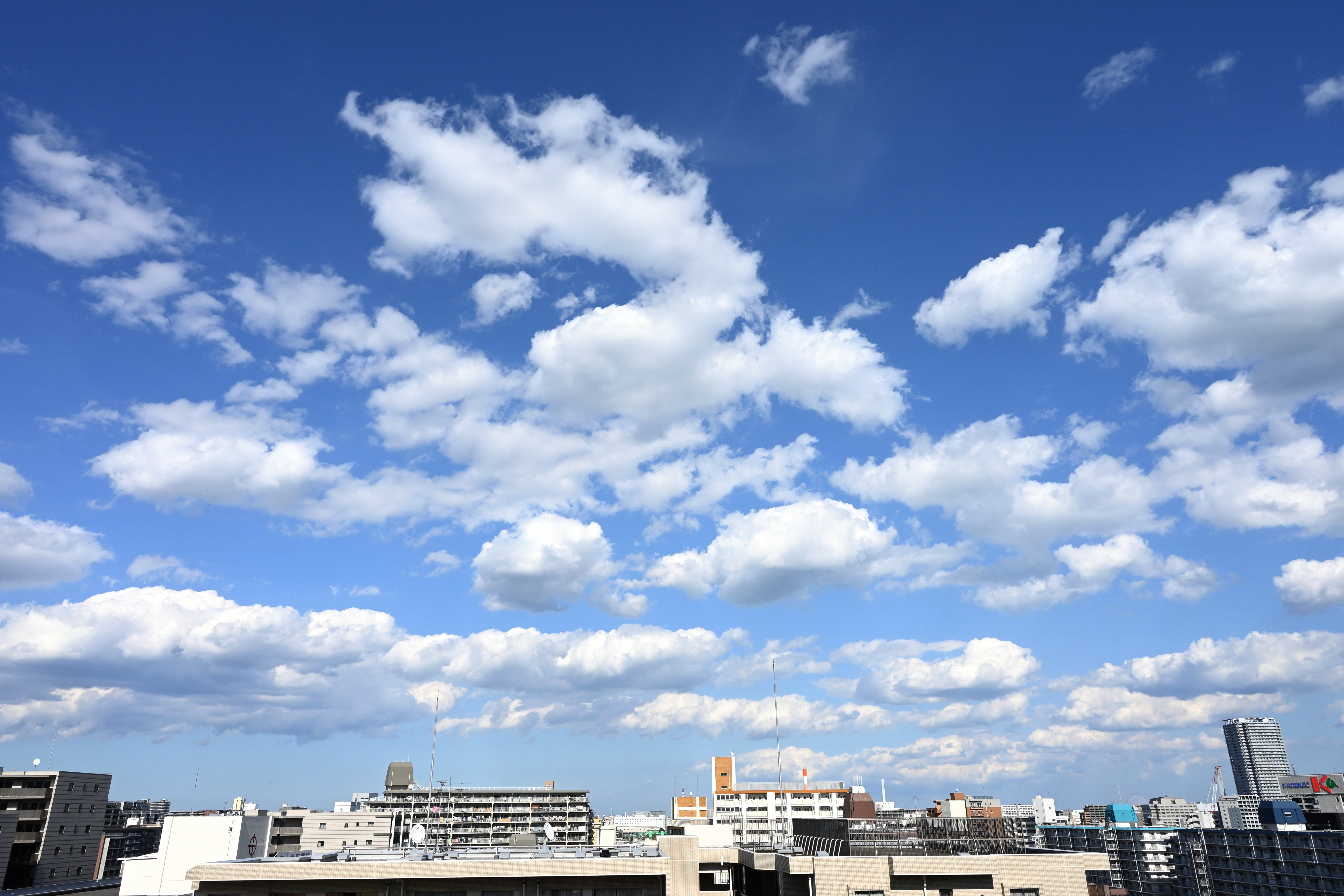 元<br>ニコンZ 50＋NIKKOR Z DX 16-50mm f/3.5-6.3 VR（16mm：24mm相当） / マニュアル露出（F8.0・1/320秒・+0.7EV） / ISO 100