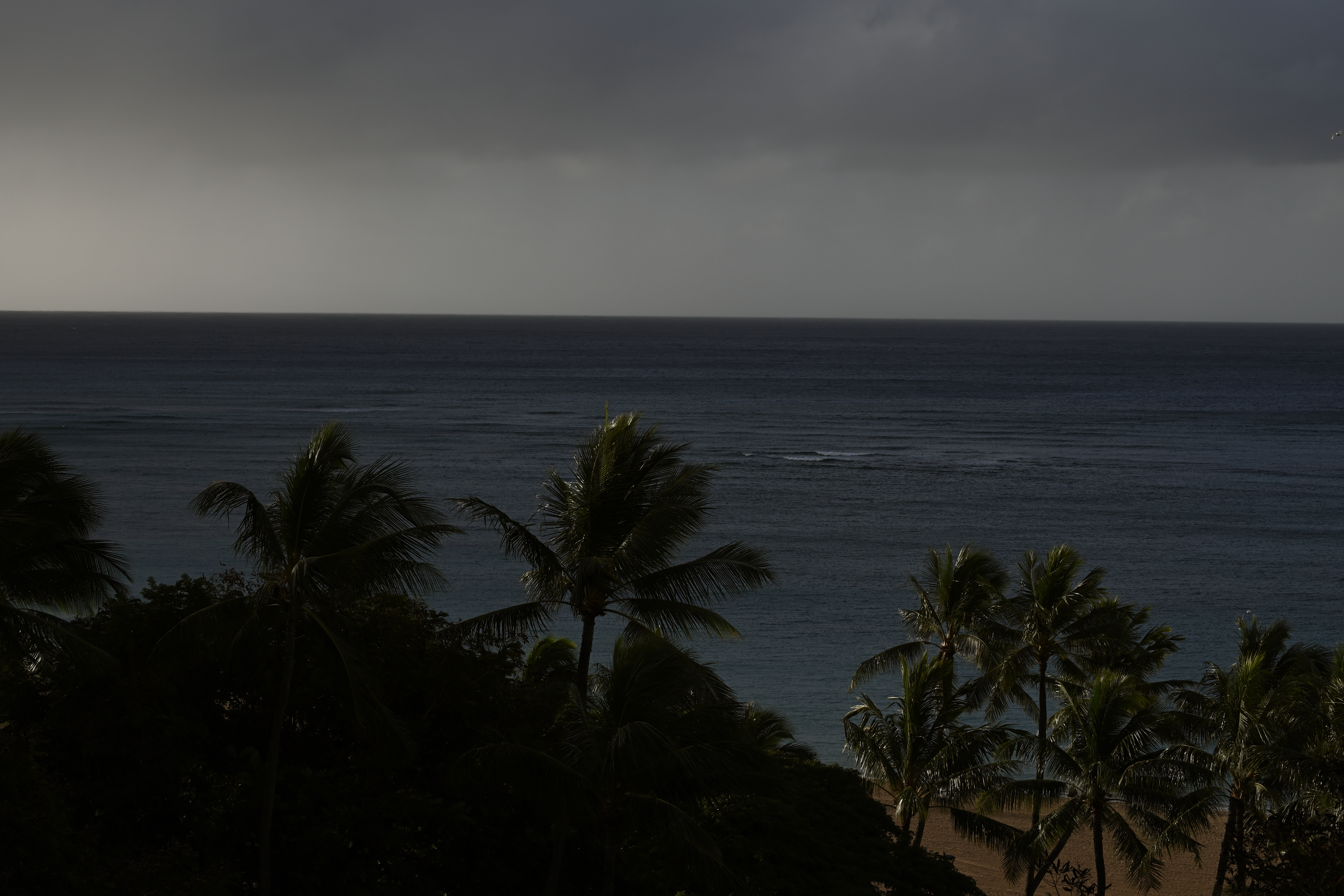 カーボン濃度30<br>ニコンZ 50＋NIKKOR Z DX 50-250mm f/4.5-6.3 VR（64mm：96mm相当） / マニュアル露出（F9.0・1/250秒） / ISO 100