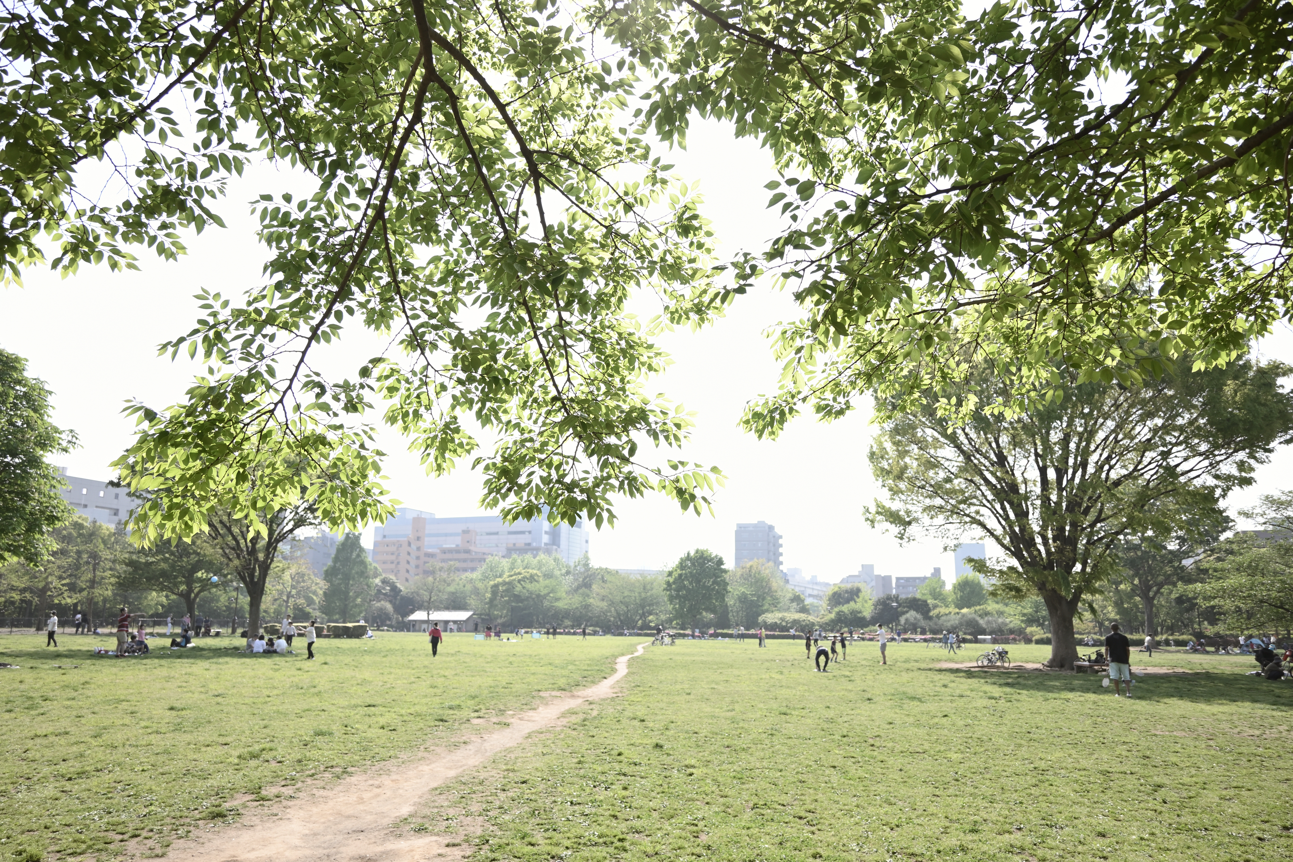 チャコール濃度30<br>ニコンZ 50＋NIKKOR Z DX 16-50mm f/3.5-6.3 VR（16mm：24mm相当） / マニュアル露出（F4.0・1/800秒・+0.7EV） / ISO 200