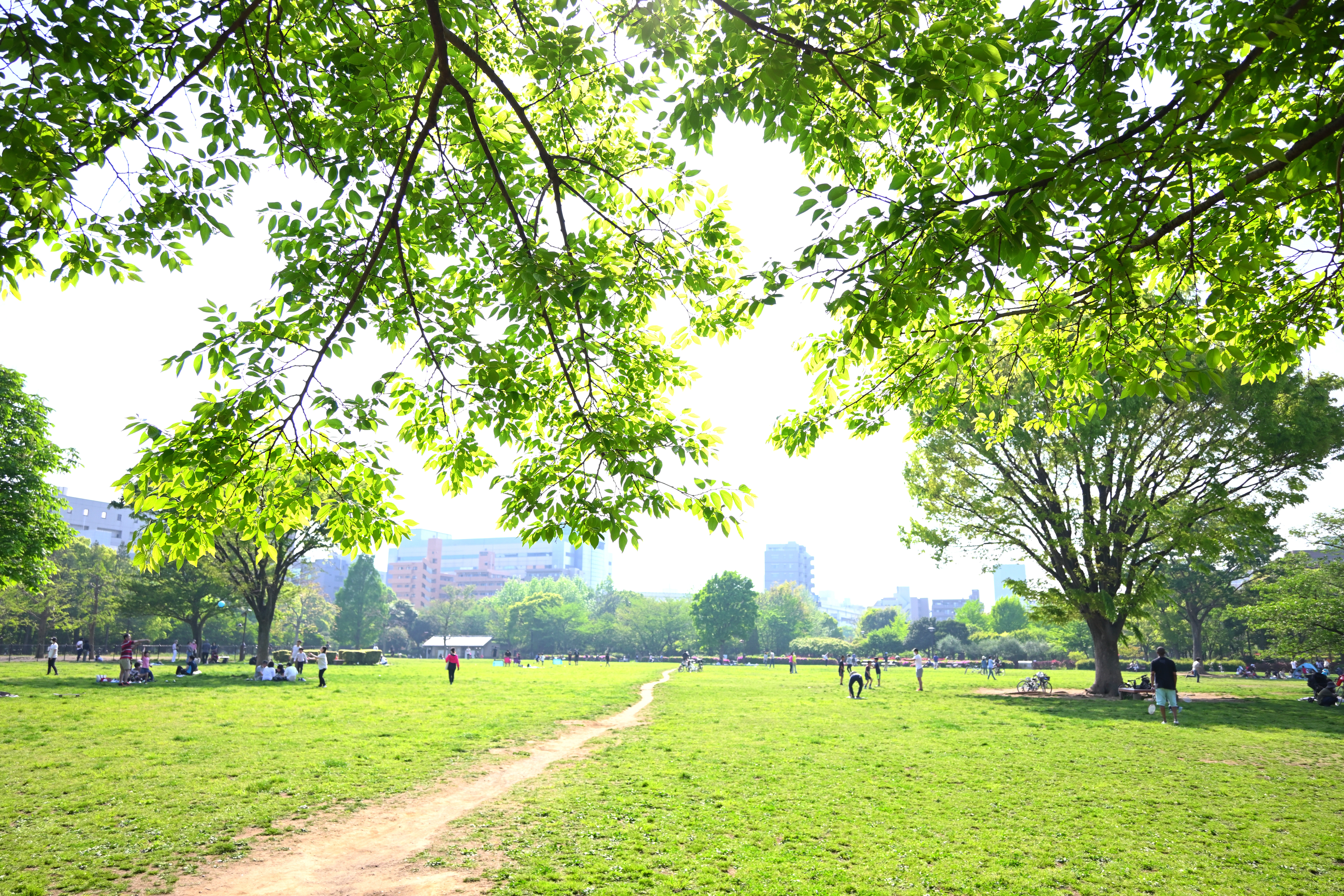 ポップ濃度100<br>ニコンZ 50＋NIKKOR Z DX 16-50mm f/3.5-6.3 VR（16mm：24mm相当） / マニュアル露出（F4.0・1/800秒・+0.7EV） / ISO 200
