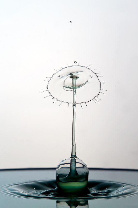 キヤノンEOS 7D / EF70-200mm F4L USM+EF25II / 200mm（320mm相当）/ マニュアル露出（F6.3、1/250秒） / ISO 400 / WB:オート