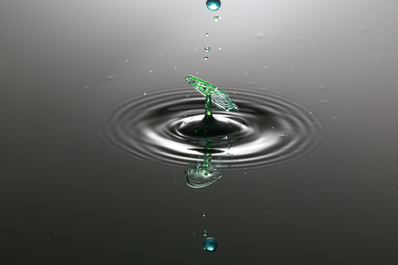 若葉のような水が開く