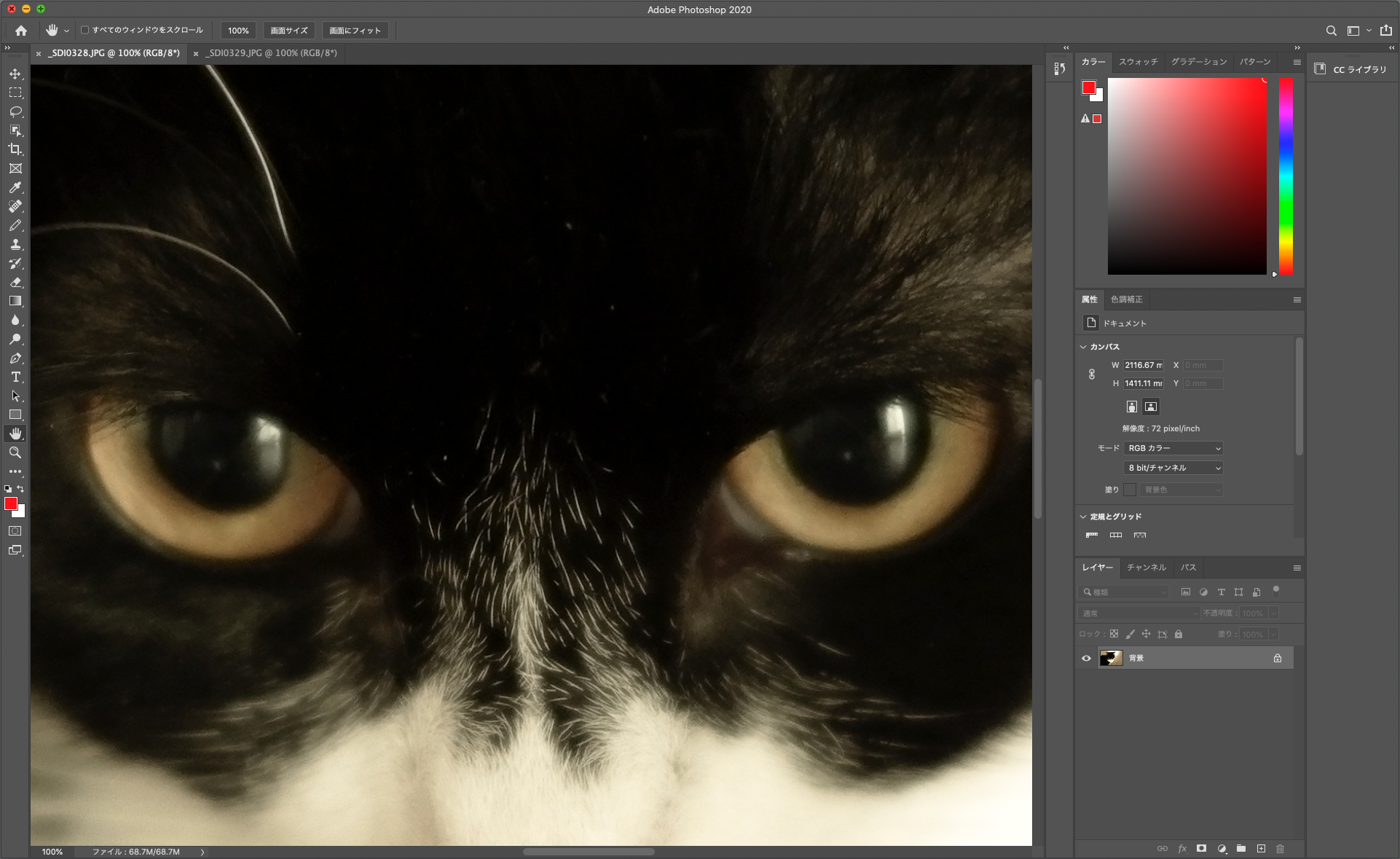 ブレやボケはデジタルカメラの多画素化などにより目立ちやすい傾向です。でもその度合いがわずかであれば、パソコン画面で画像全体を表示したり、プリントしたときに気にならないケースがほとんどです。それなのにせっかくの魅力的な作品をセレクトから外してしまうのはもったいないです。そもそもいきなり原寸表示でブレやボケを確認すると、画面全体の印象で写真の良さに気づかないままセレクトから外している可能性もあります。