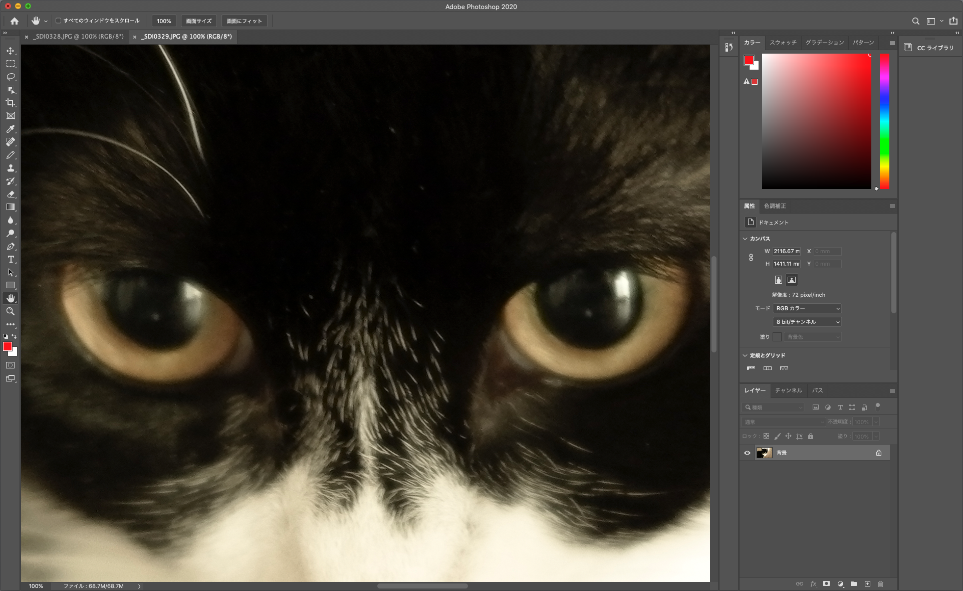 ブレやボケはデジタルカメラの多画素化などにより目立ちやすい傾向です。でもその度合いがわずかであれば、パソコン画面で画像全体を表示したり、プリントしたときに気にならないケースがほとんどです。それなのにせっかくの魅力的な作品をセレクトから外してしまうのはもったいないです。そもそもいきなり原寸表示でブレやボケを確認すると、画面全体の印象で写真の良さに気づかないままセレクトから外している可能性もあります。