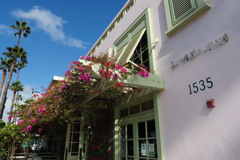 ビビッド<br>　<br><span class="fnt-120">「スタンダード」「ビビッド」「ニュートラル」など、RAW現像で仕上がり設定を変えるくらいでは不自然な印象にはなりづらいです。撮影時にカメラで選べる機能でもあり、フィルムと同じく、好ましい仕上がりが得られるようになっています。ある意味「これくらいがちょうど良い」という制限がかかっているわけです。RAW現像やフォトレタッチで使用する画像処理ソフトではその制限がなくなり、調整の自由度も増しますが、どこまでやるか、どれくらいでちょうど良いとするかは自分で判断しないといけません。</span>