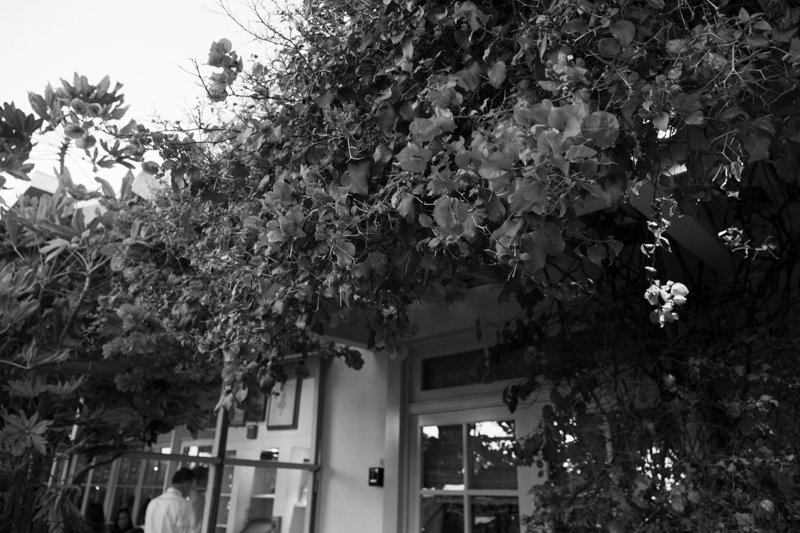 モノクロ<br>　<br><span class="fnt-120">色がポイントとなるカラー写真を後からモノクロ写真に変換すると、何に興味を持って撮影したのか分かりにくくなることがあります。カラー写真（上）は色で区別できますが、モノクロ写真（下）では同じ濃度だと同化してしまうからです。これにより主題が埋もれてしまうなど伝わりにくい写真になってしまいます。カラーだといまひとつだからとモノクロにしたところで写真が良くなるわけではありません。後付けで安易にモノクロ変換しないほうがいいでしょう。</span>