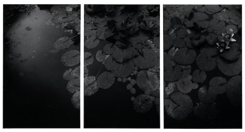 Home Stay対象作品のひとつ「Rainscape#05」（安達ロベルト）