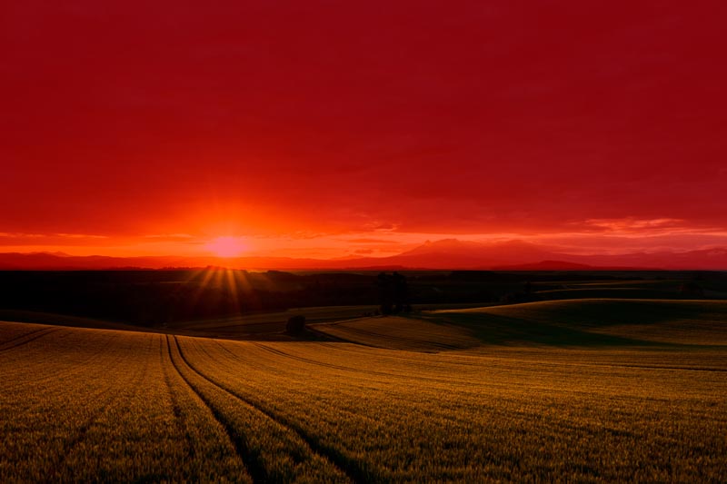 （赤色の部分がフィルターの効果が出ている箇所）