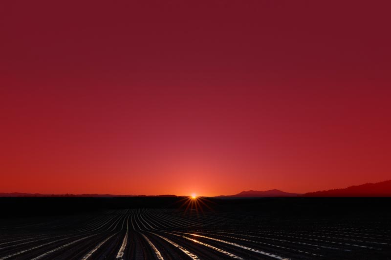 （赤色の部分がフィルターの効果が出ている箇所）