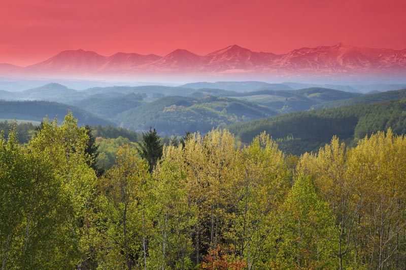 （赤色の部分がフィルターの効果が出ている箇所）
