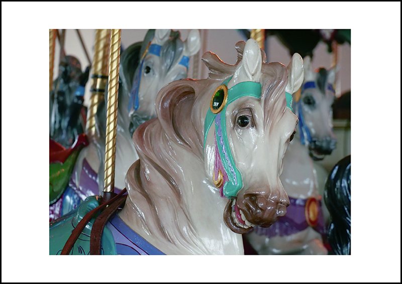 <span class="fnt-120">プリントのレイアウトはいろいろなパターンが考えられますが、フォトコンテストの応募作品の場合、余白の幅は25mm（約1インチ）を目安に調整します。A4サイズの用紙だと、縦横比が3：2の画像は短辺を150〜160mmに設定するのがお勧めです。4：3の画像はこれだとバランスがいまひとつなので、短辺を170mmに設定するといいでしょう。もちろん余白がこれより狭くても問題ありません。レイアウトも表現のひとつと考え工夫したりこだわると、もっとプリントが楽しくなると思います。</span>