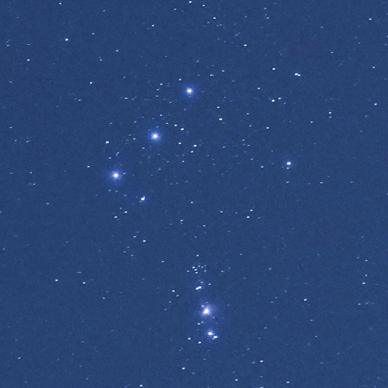 フィルター使用