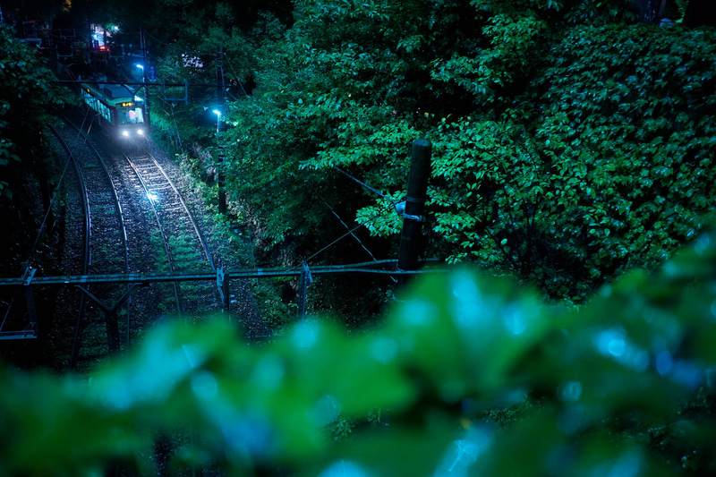 ソニーα9　FE 28mm F2（28mm）　マニュアル露出（F2、1/30秒）　ISO 2000　WB:電球