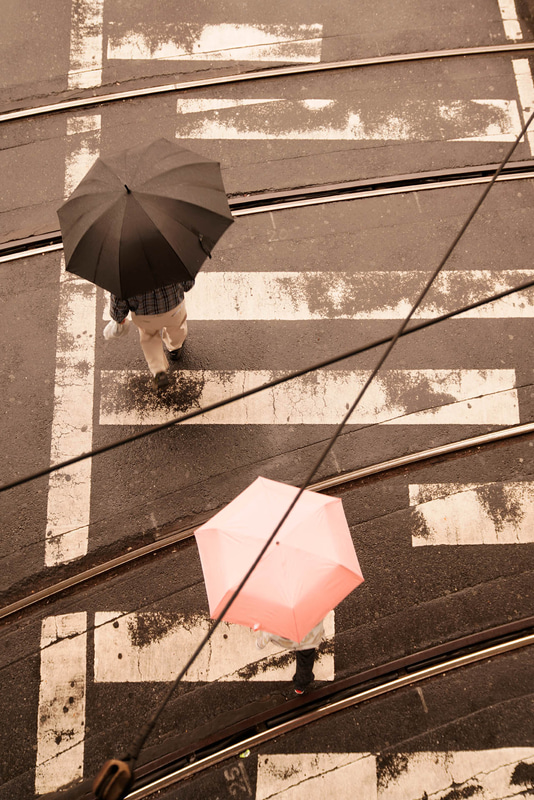 ソニーα7R Ⅲ　FE 24-70mm F2.8 GM（26mm）　絞り優先オート（F3.5、1/100秒）　ISO 100　WB:日陰