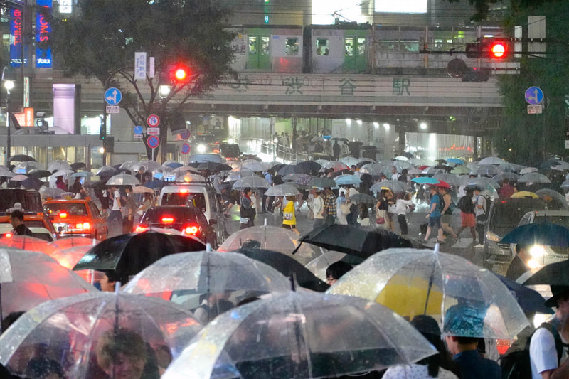 ソニーRX100 VI（200mm相当）　絞り優先オート（F4.5、1/125秒）　ISO 6400　WB:オート