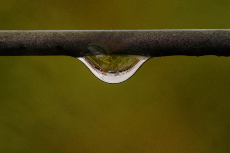 ソニーα7R Ⅲ　FE 90mm F2.8 Macro G OSS（90mm）　絞り優先オート（F14、1/100秒）　ISO 6400　WB:日陰