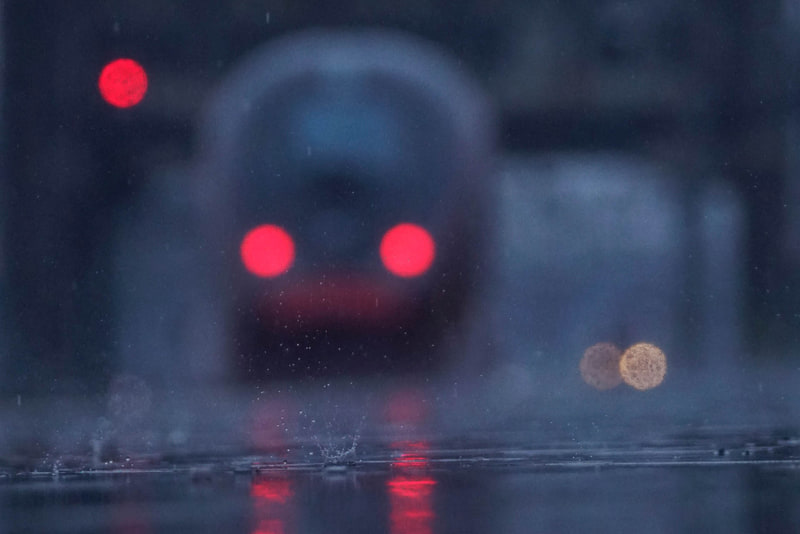 ソニーα99 Ⅱ　70-400mm F4-5.6 G SSM II（270mm相当）　絞り優先オート（F4.5、1/1,000秒）　ISO 1600　WB:太陽光