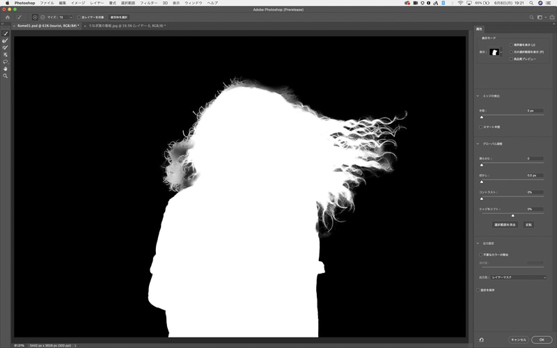 新バージョンでは、細かい部分まできれいに切り抜けるようになった。