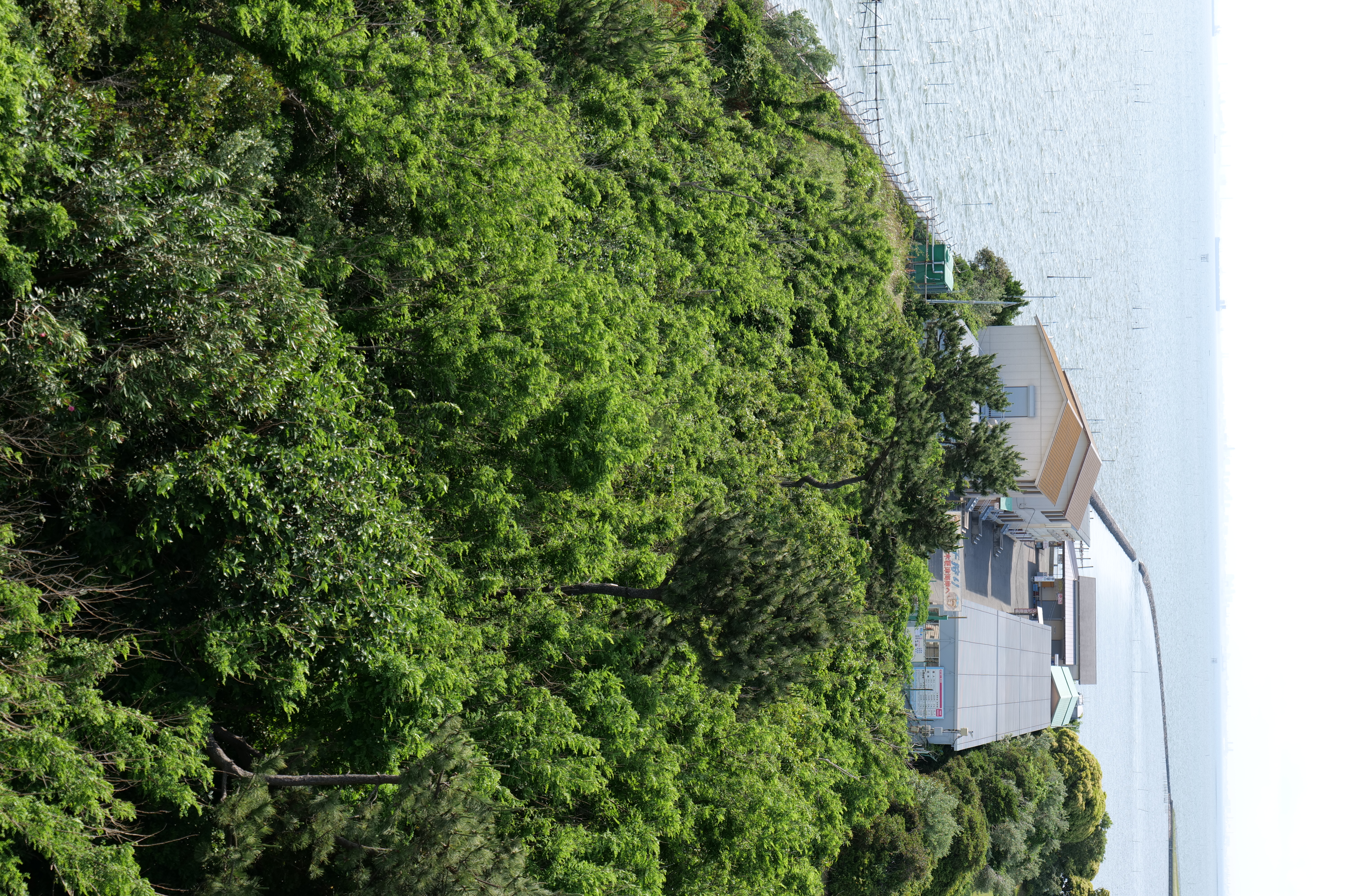 <span class="fnt-85">LUMIX S1＋LUMIX S 20-60mm F3.5-5.6（60mm） / 絞り優先AE（F5.6・1/200秒・±0EV） / ISO 100</span>