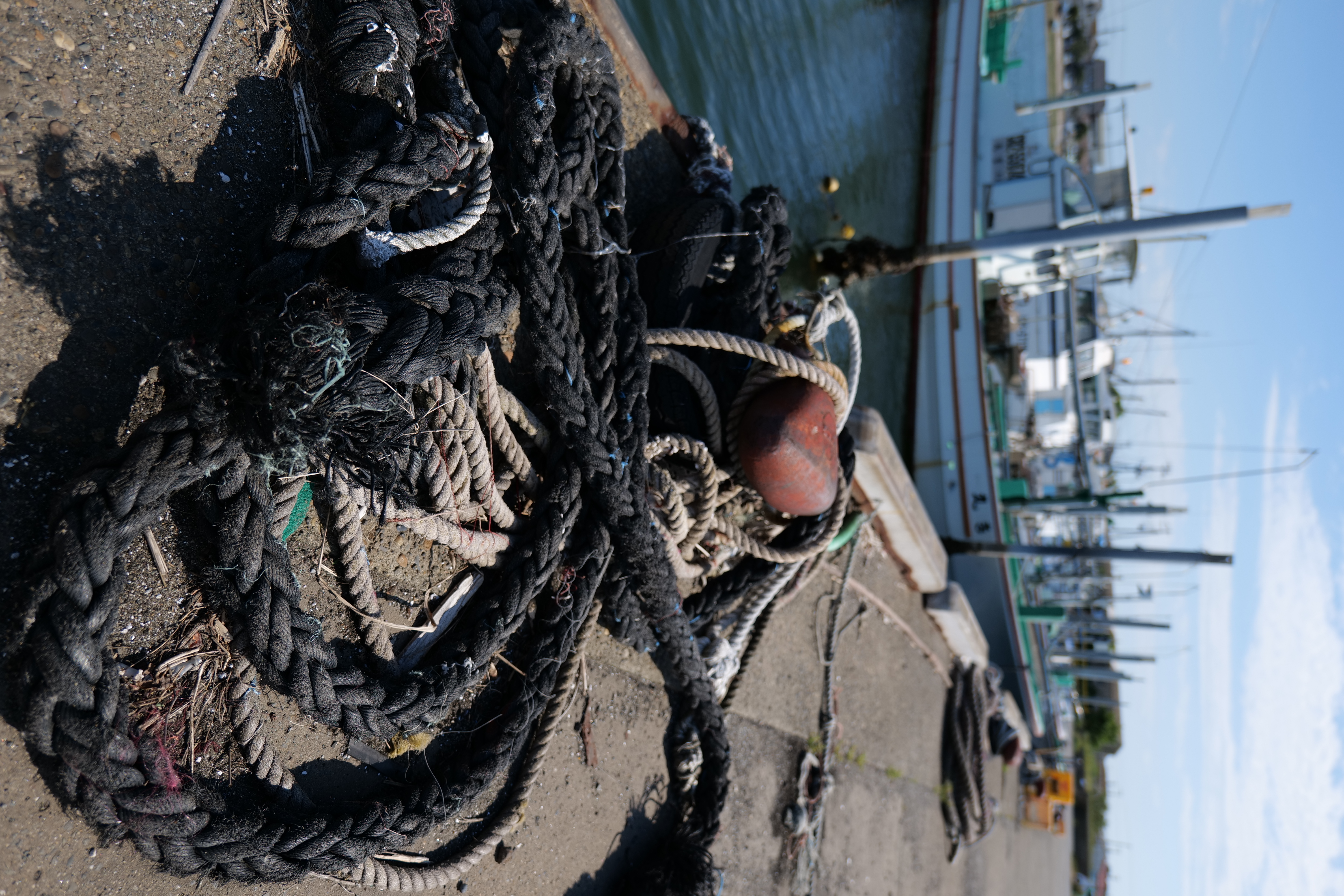 <span class="fnt-85">LUMIX S1＋LUMIX S 20-60mm F3.5-5.6（20mm） / 絞り優先AE（F3.5・1/1,250秒・-0.3EV） / ISO 100</span>