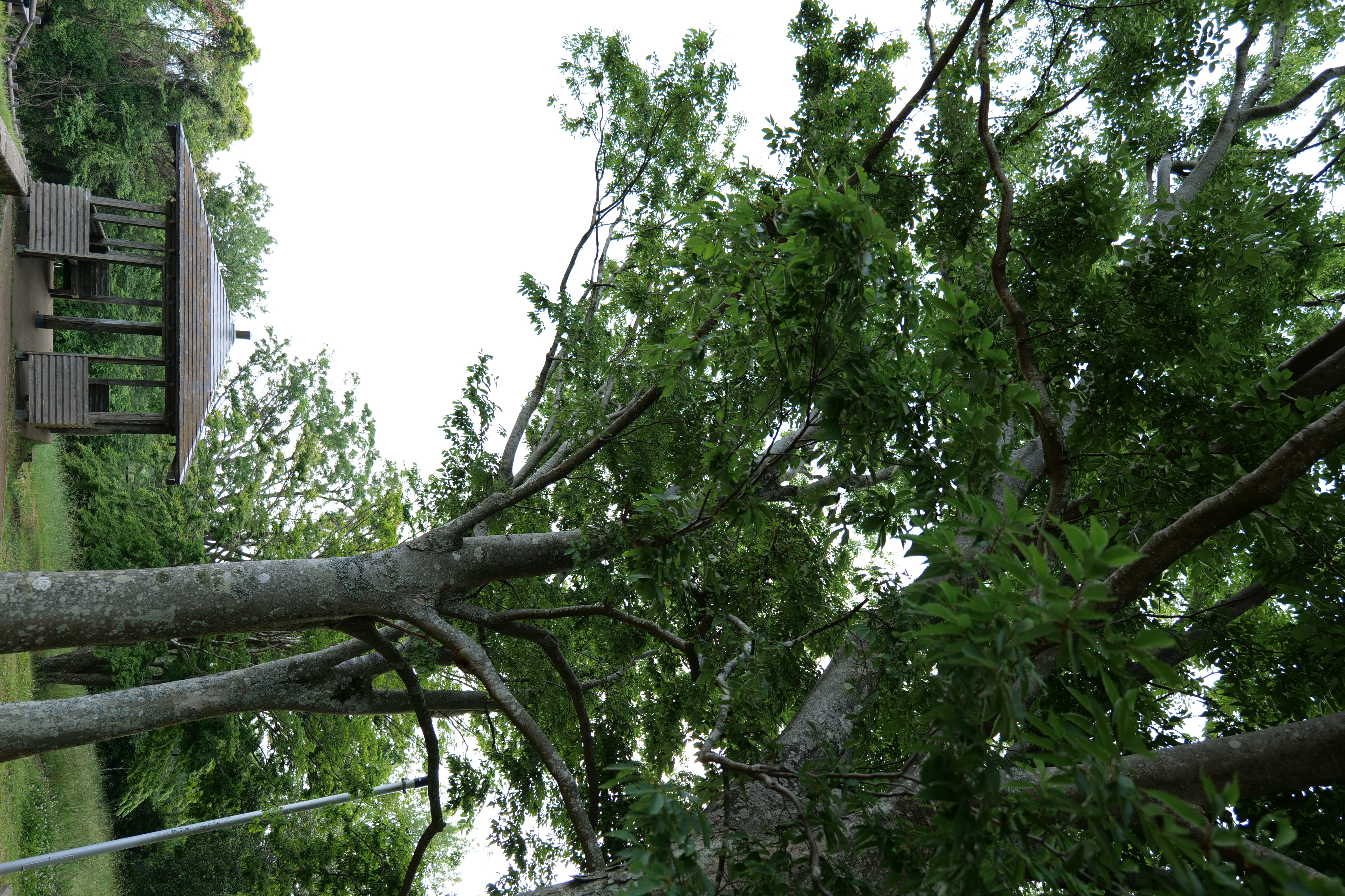 <span class="fnt-85">LUMIX S1＋LUMIX S 20-60mm F3.5-5.6（20mm） / 絞り優先AE（F3.5・1/160秒・+2.0EV） / ISO 100</span>