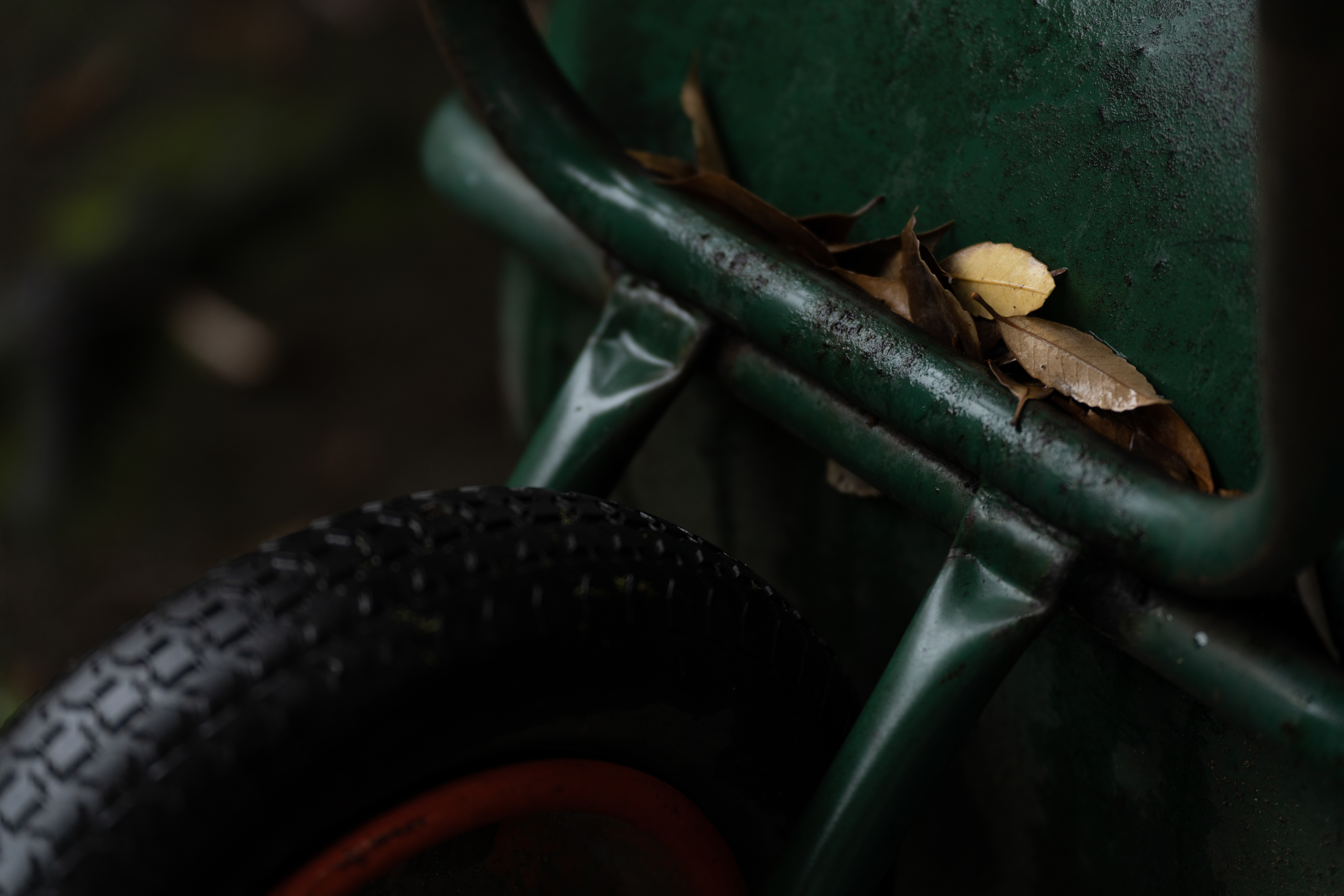 <span class="fnt-85">ソニーα7R IV＋タムロン 70-180mm F/2.8 Di III VXD（119mm） / マニュアル露出（F2.8・1/200秒） / ISO 200</span>